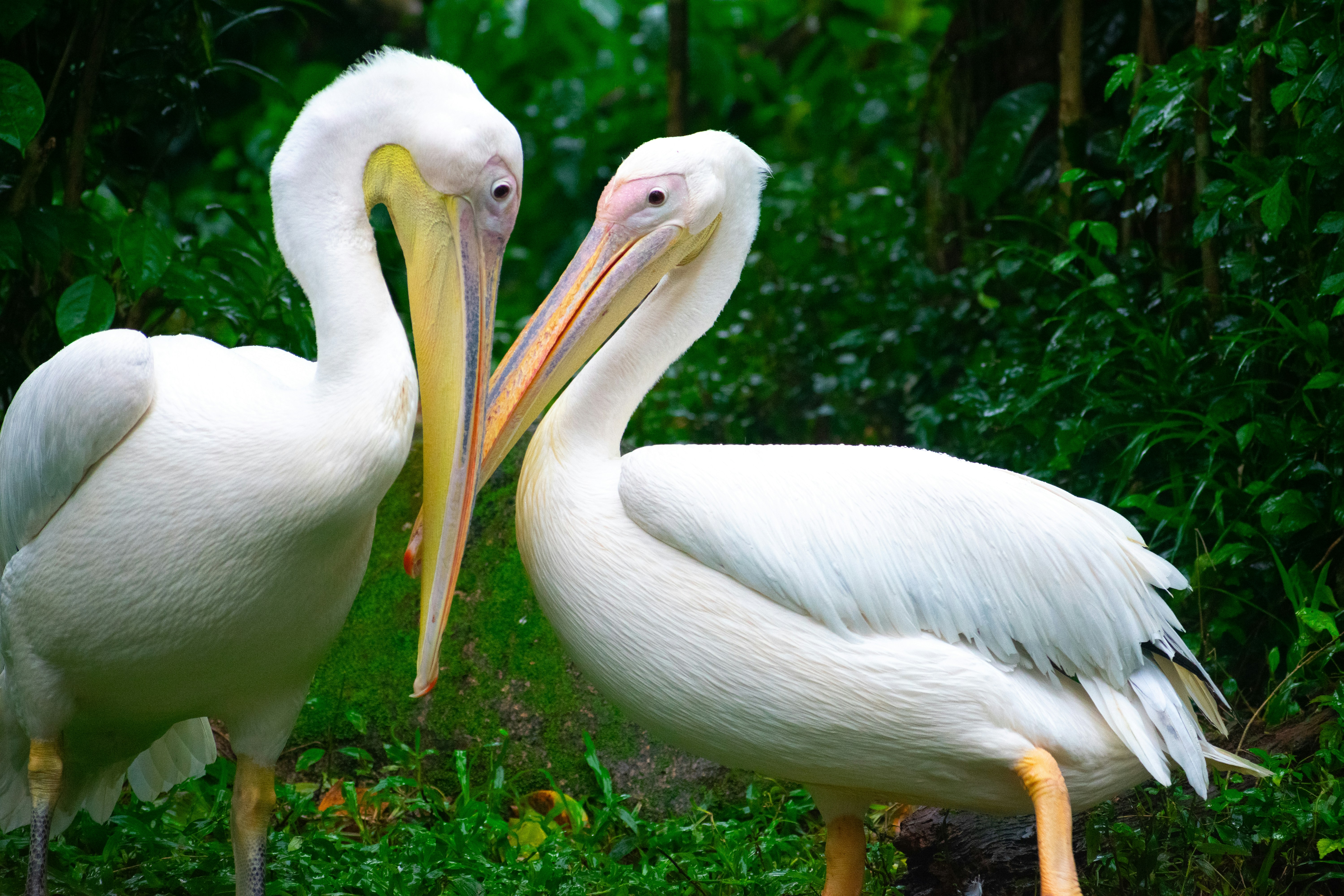 Photo by probablyrobin