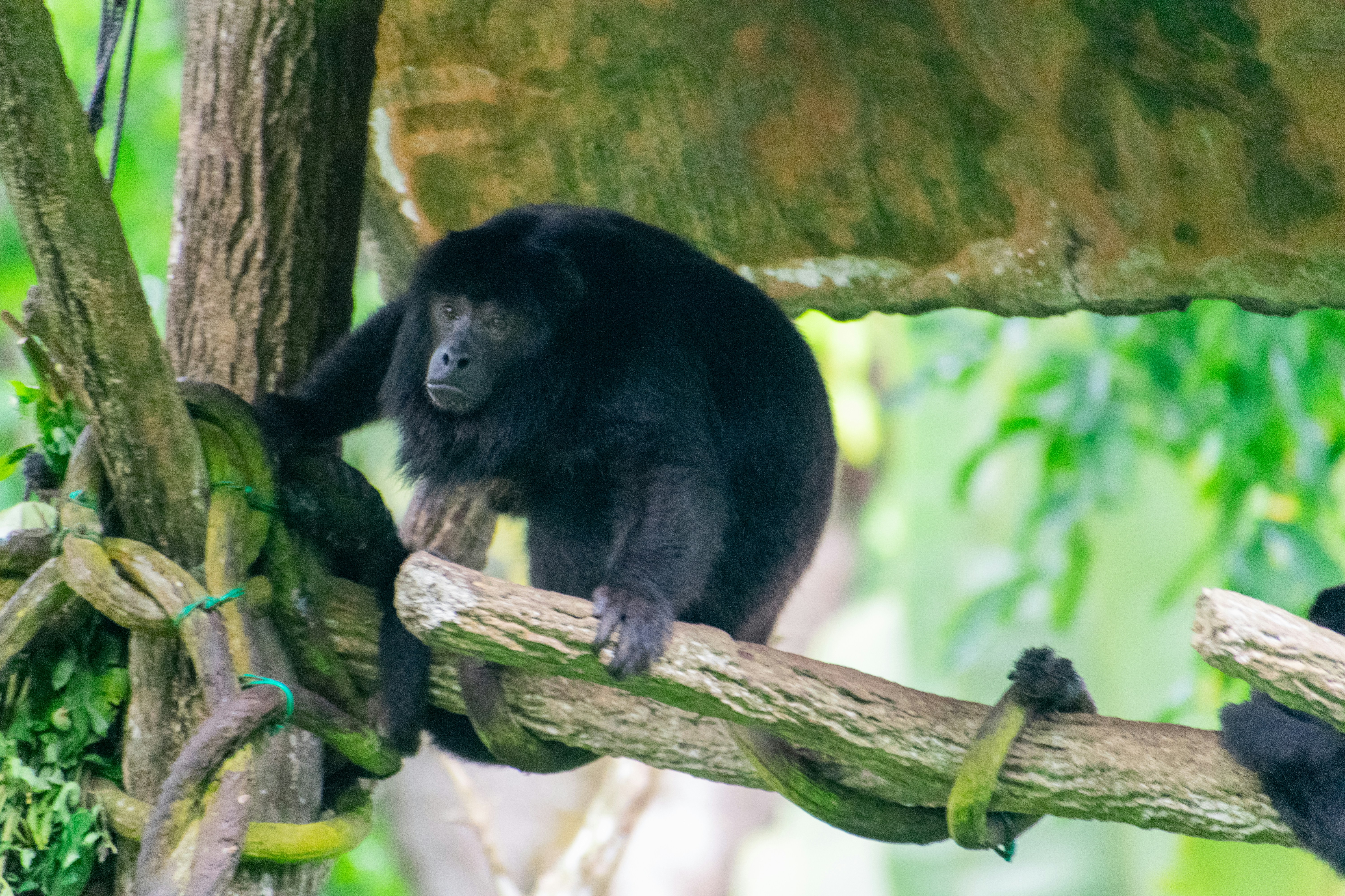 Photo by probablyrobin