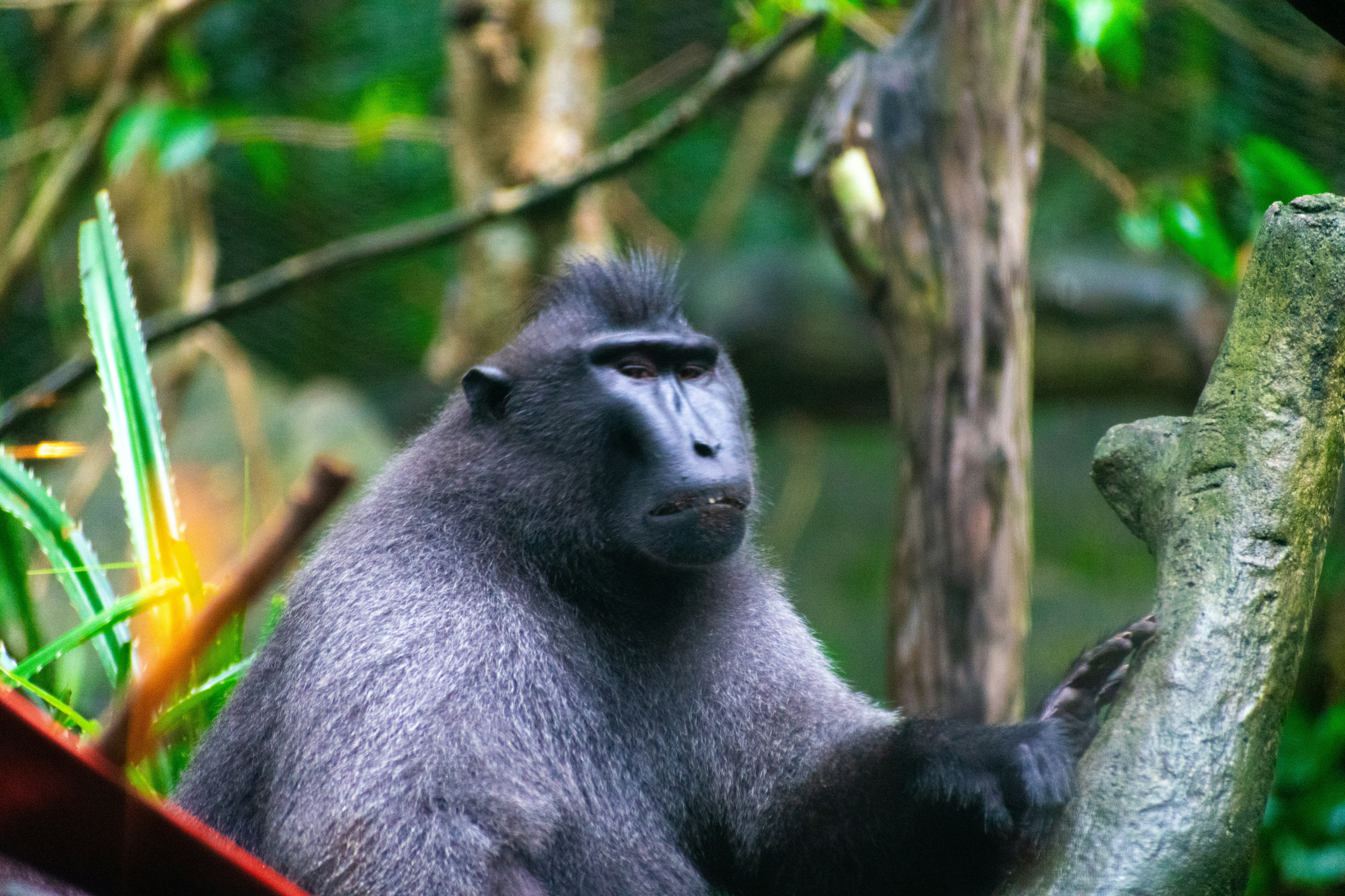 Photo by probablyrobin