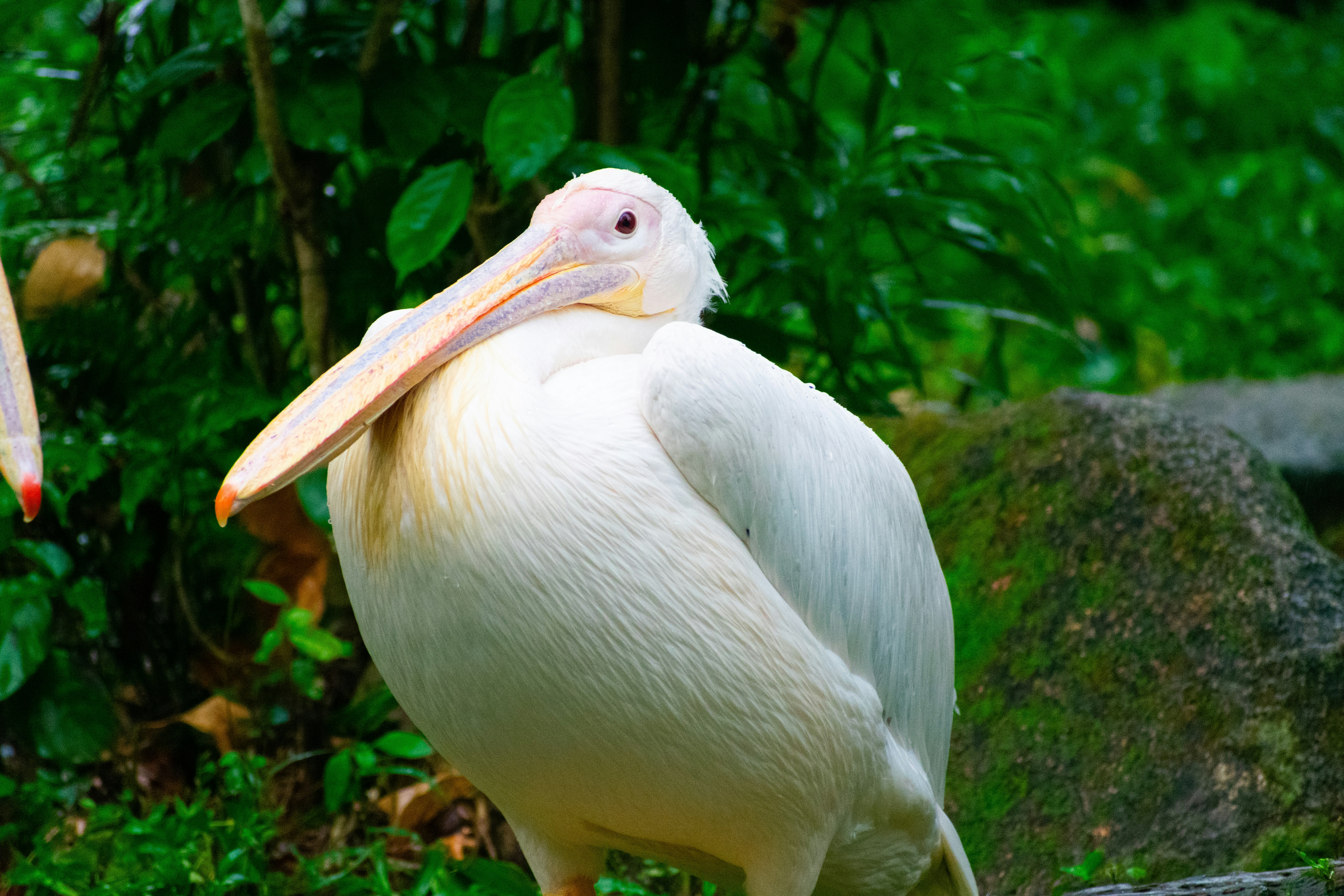 Photo by probablyrobin