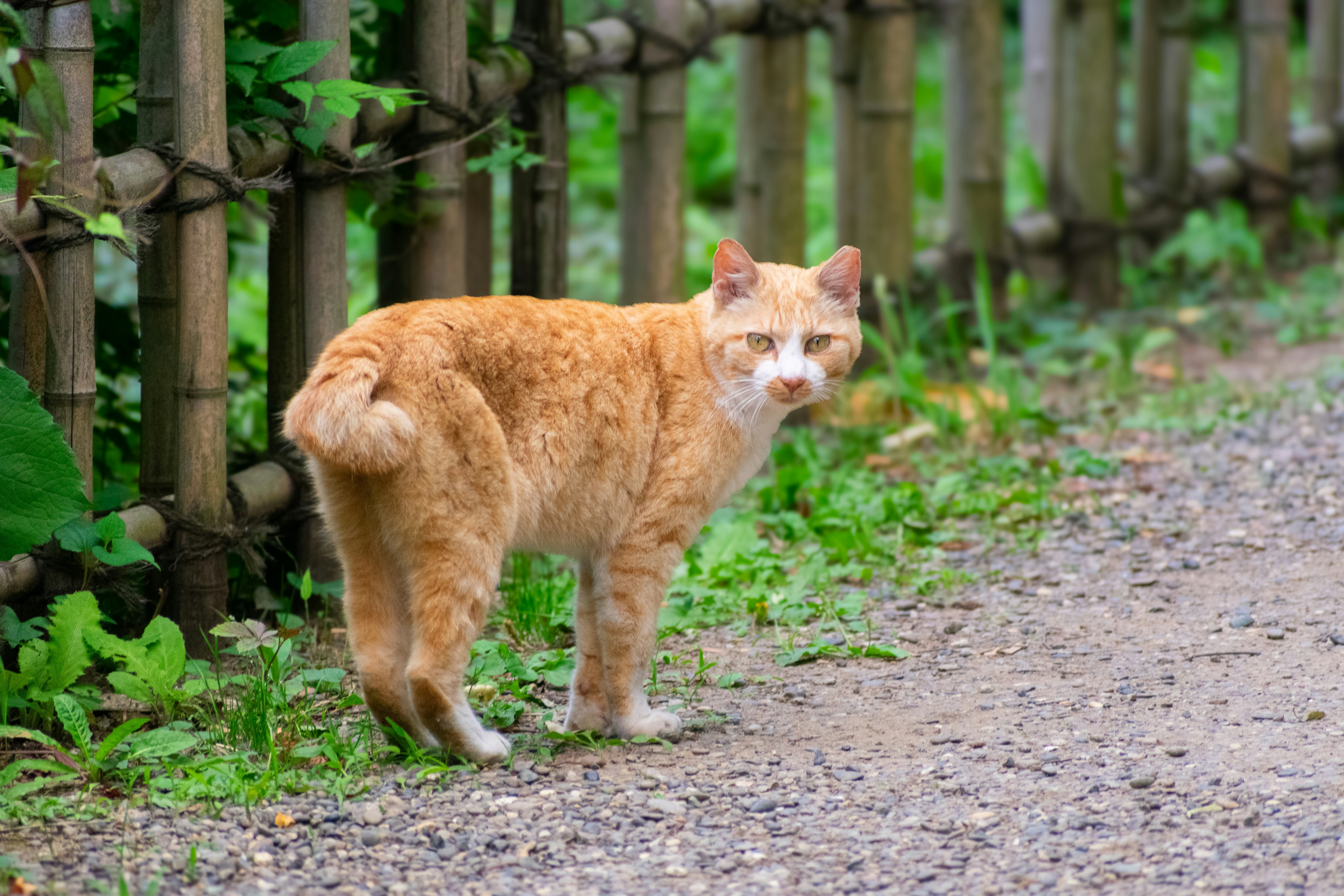 Photo by probablyrobin