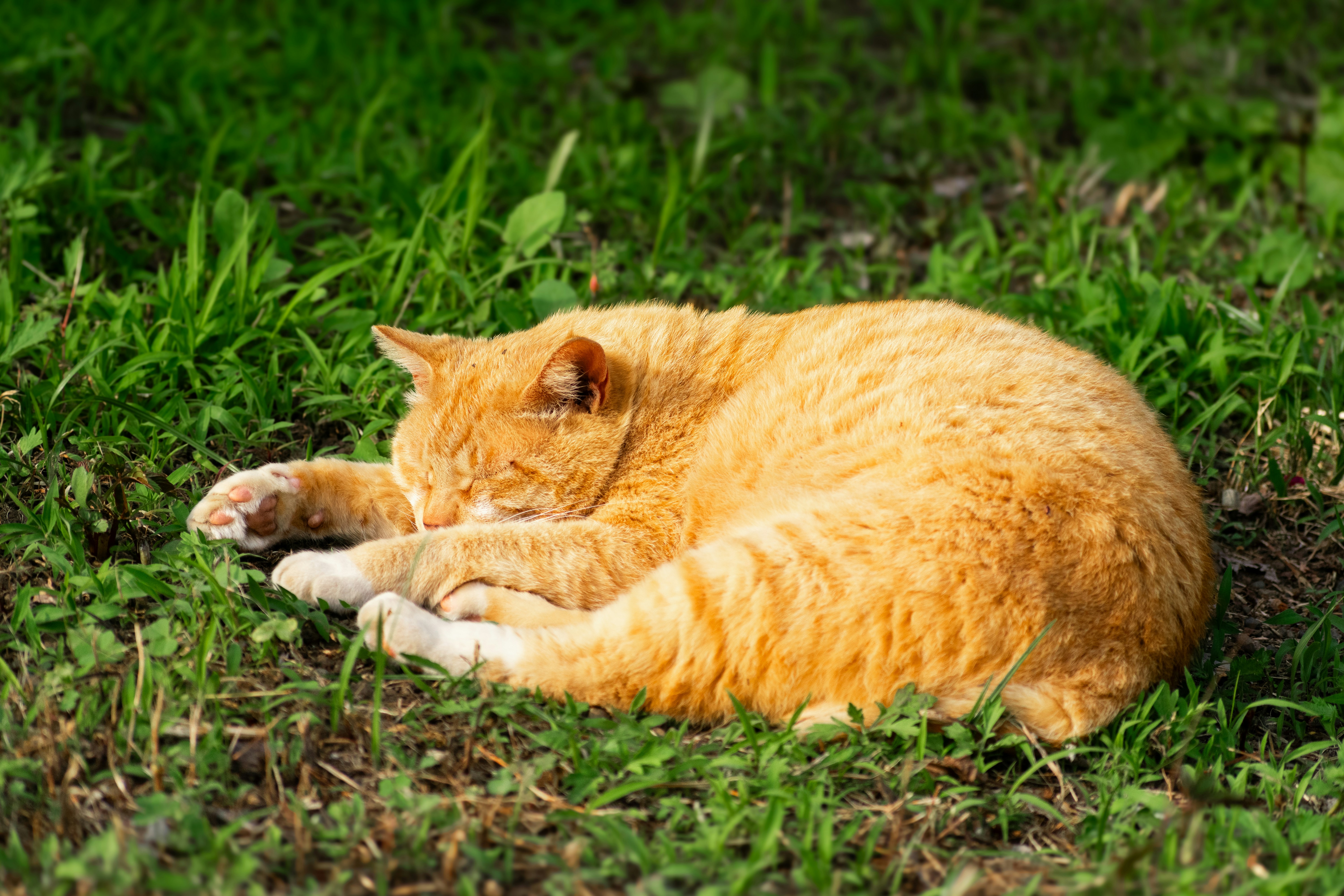 Photo by probablyrobin