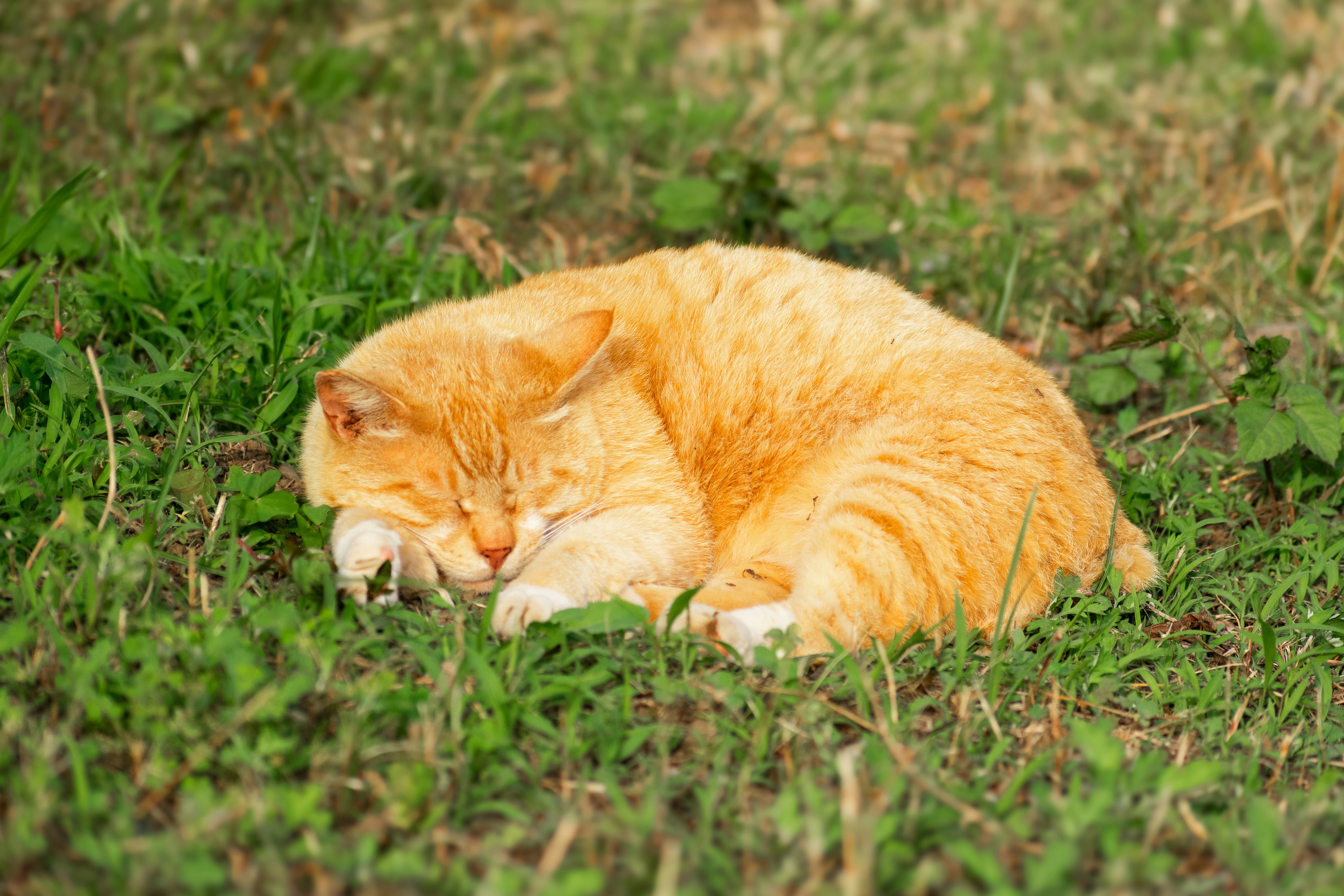 Photo by probablyrobin