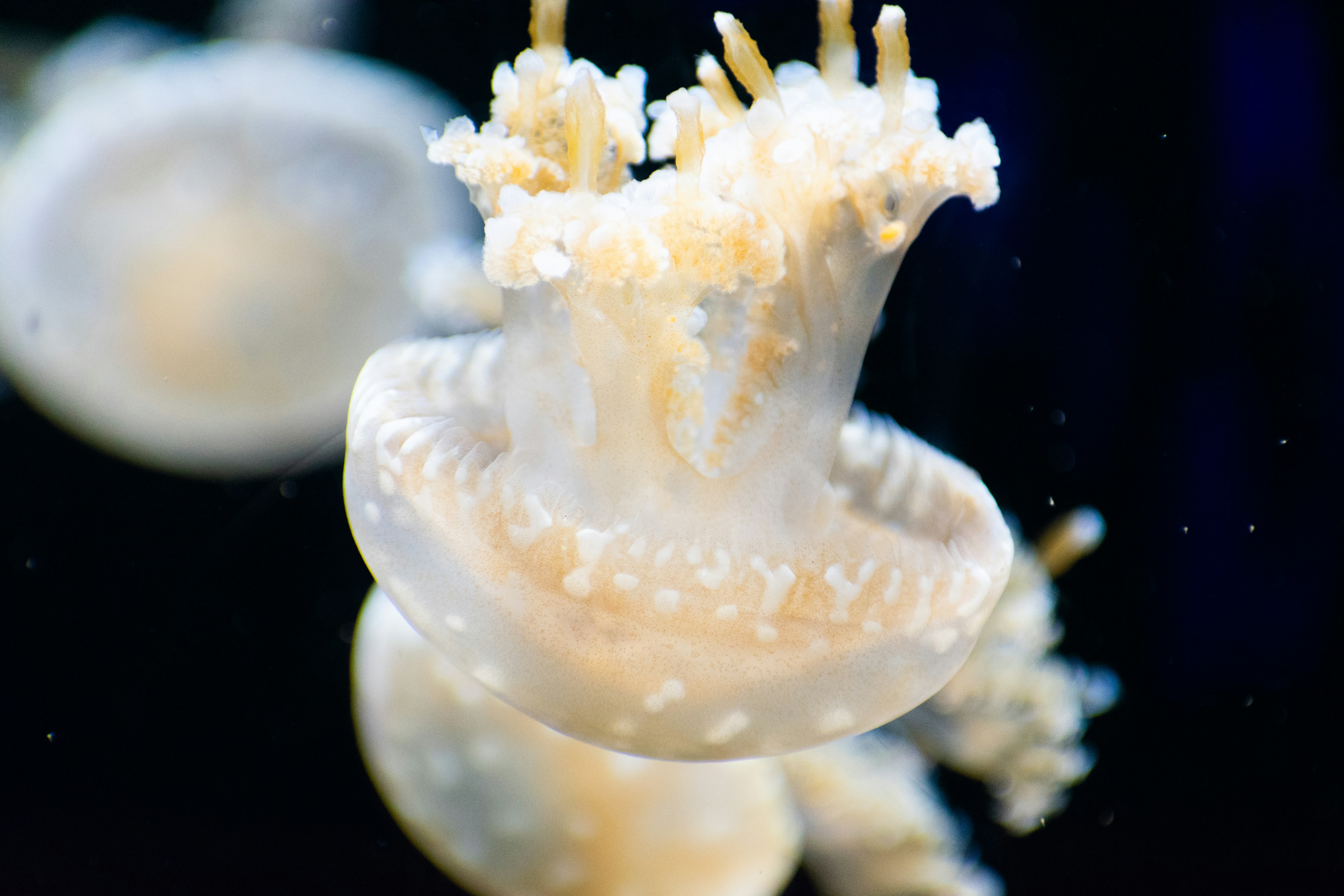 Photo by probablyrobin