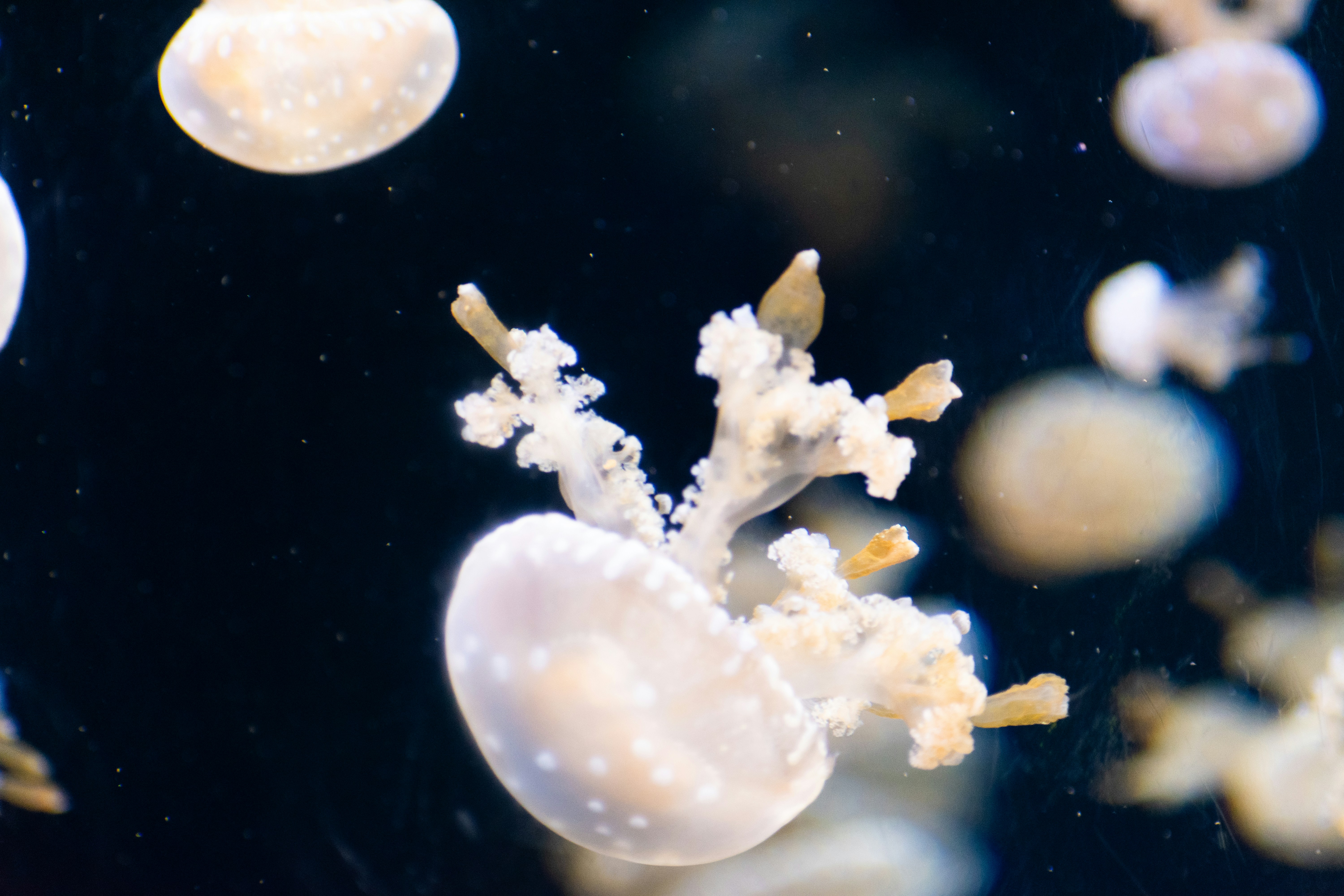 Photo by probablyrobin