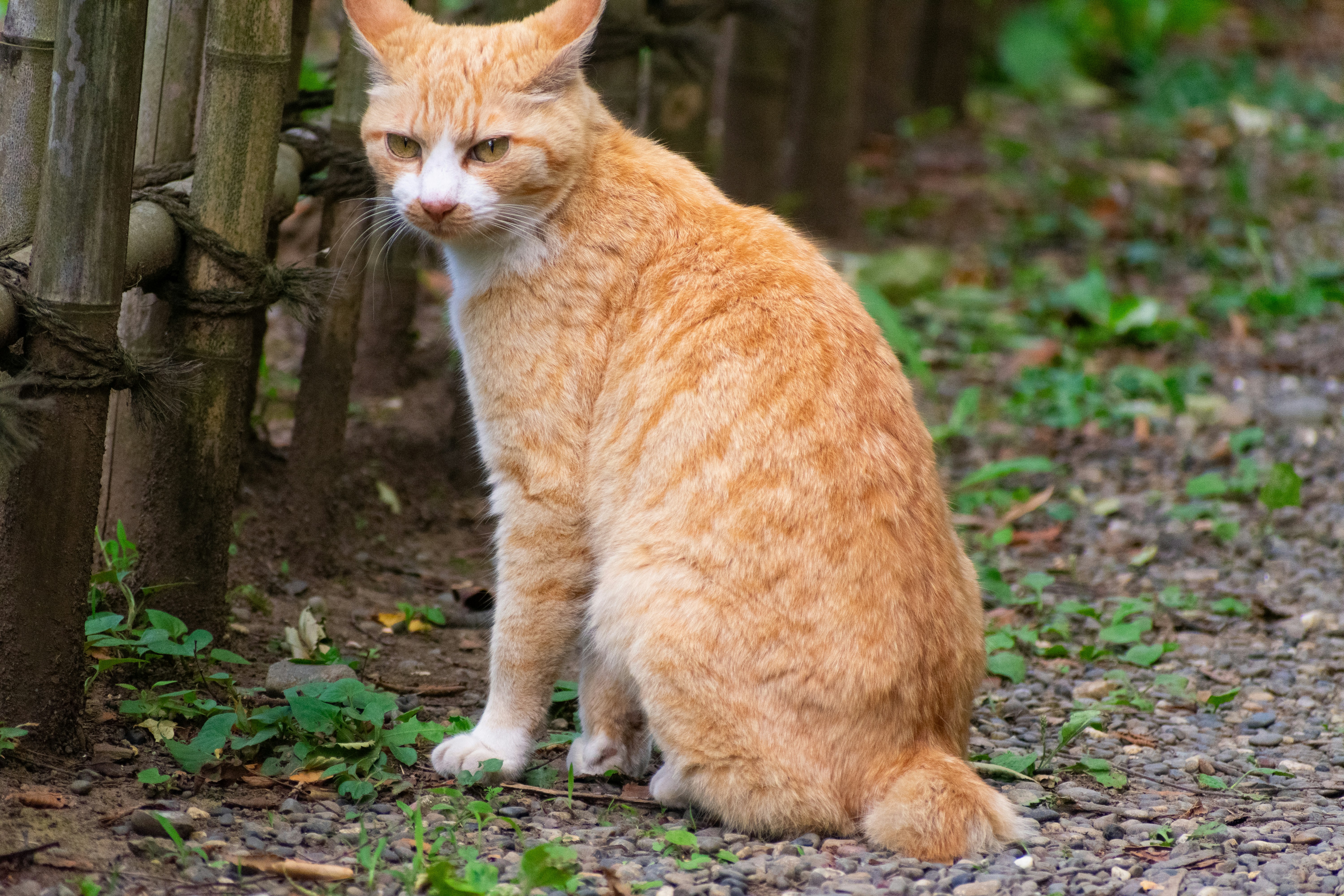 Photo by probablyrobin