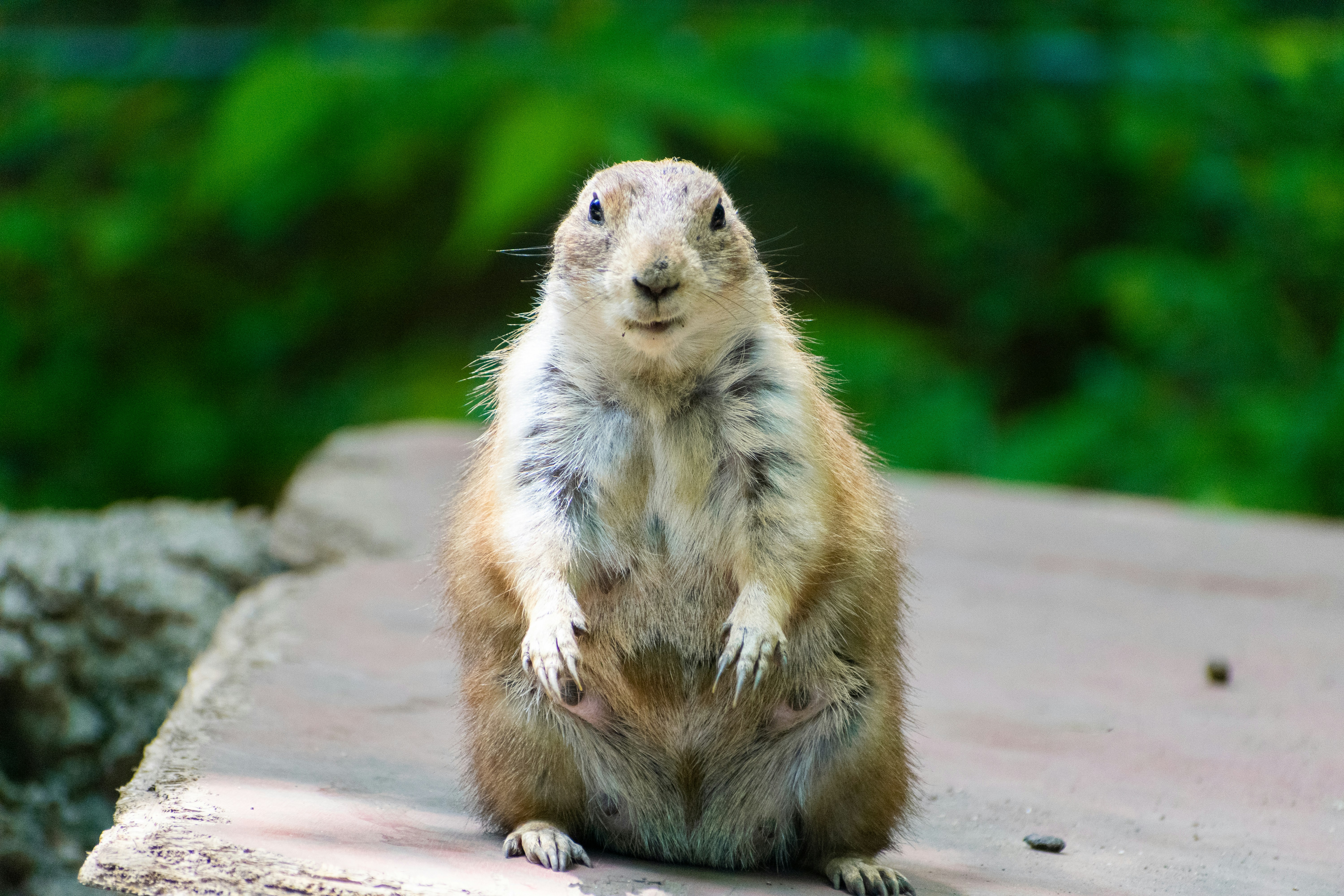 Photo by probablyrobin