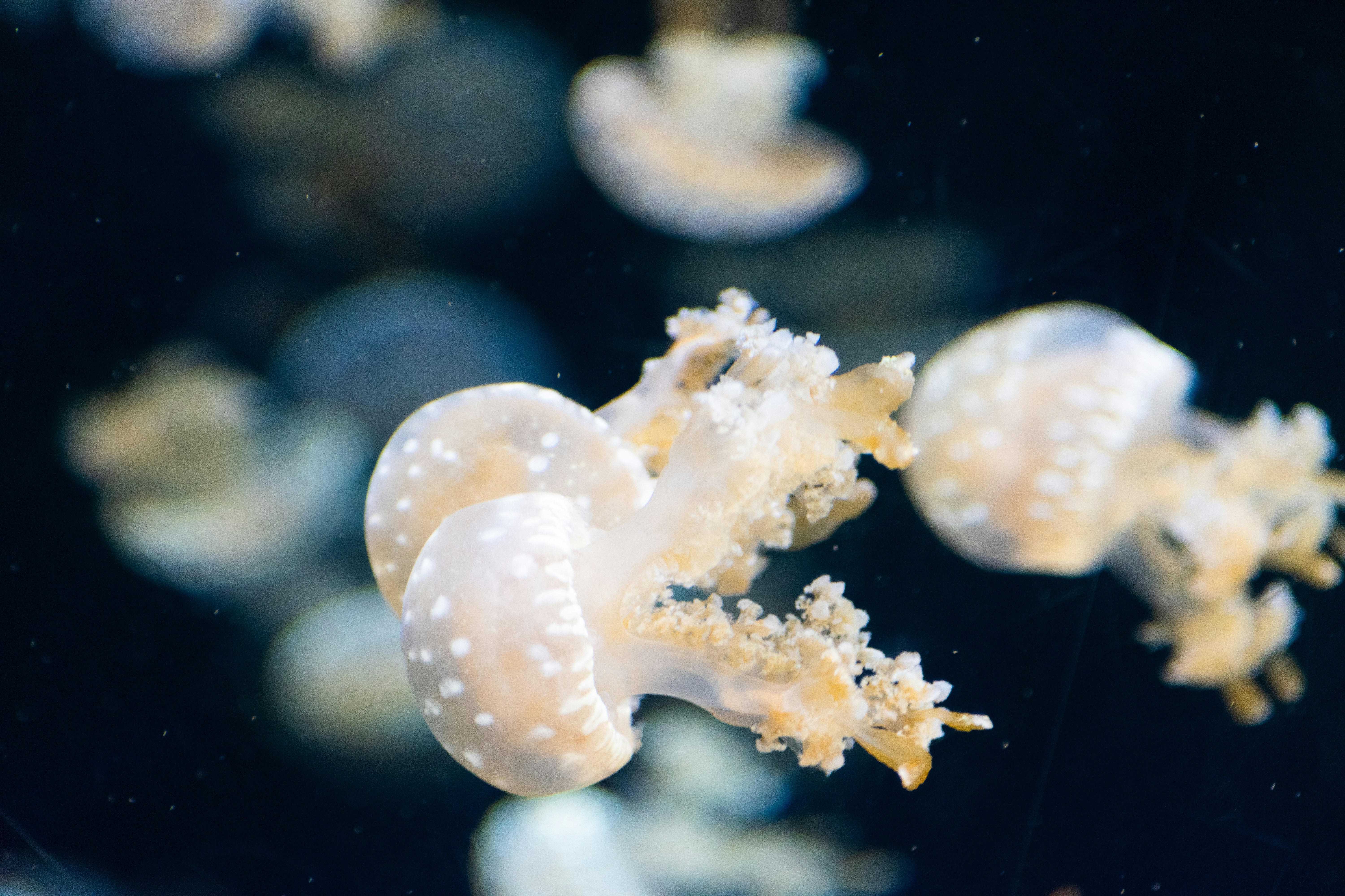 Photo by probablyrobin