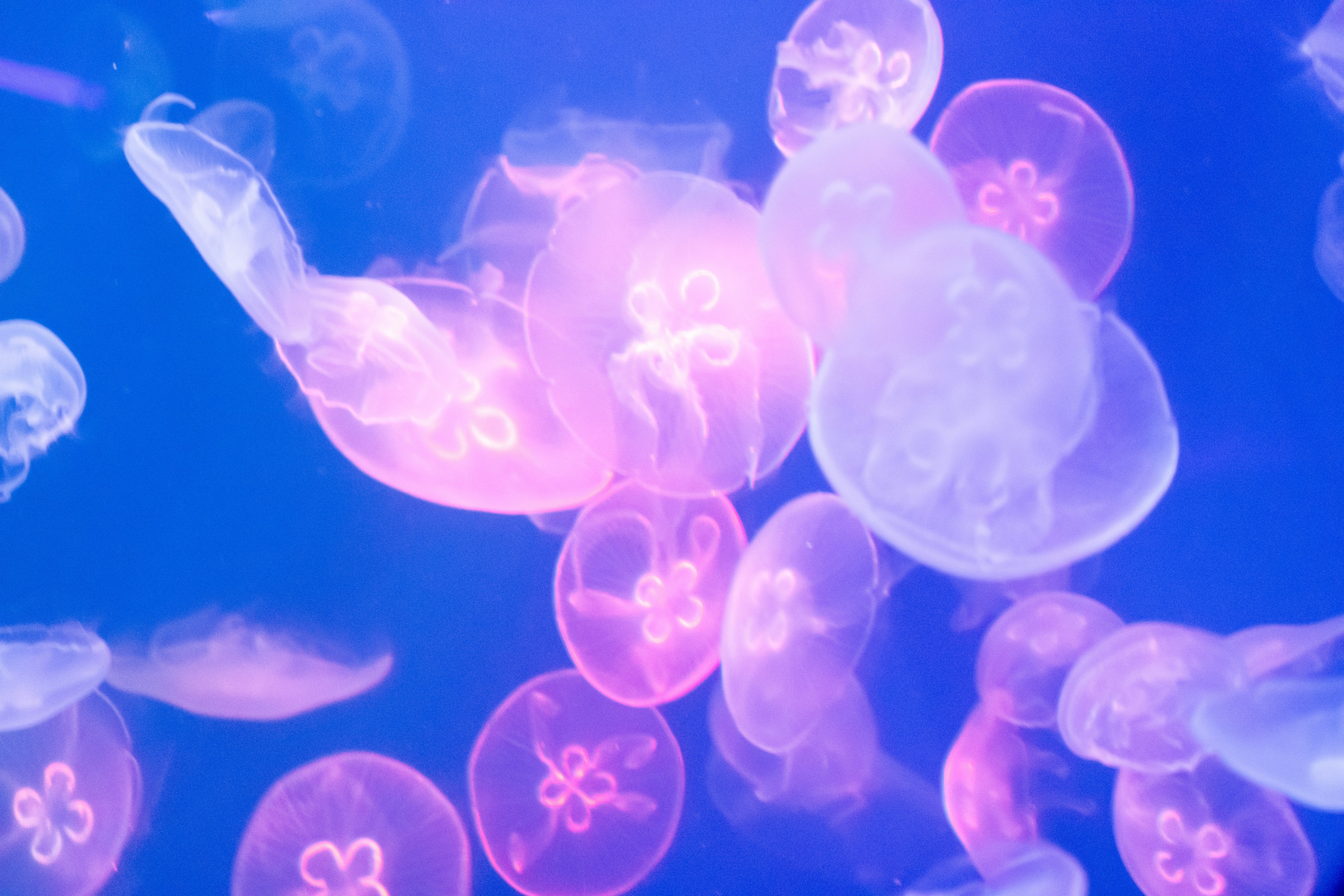 Photo by probablyrobin