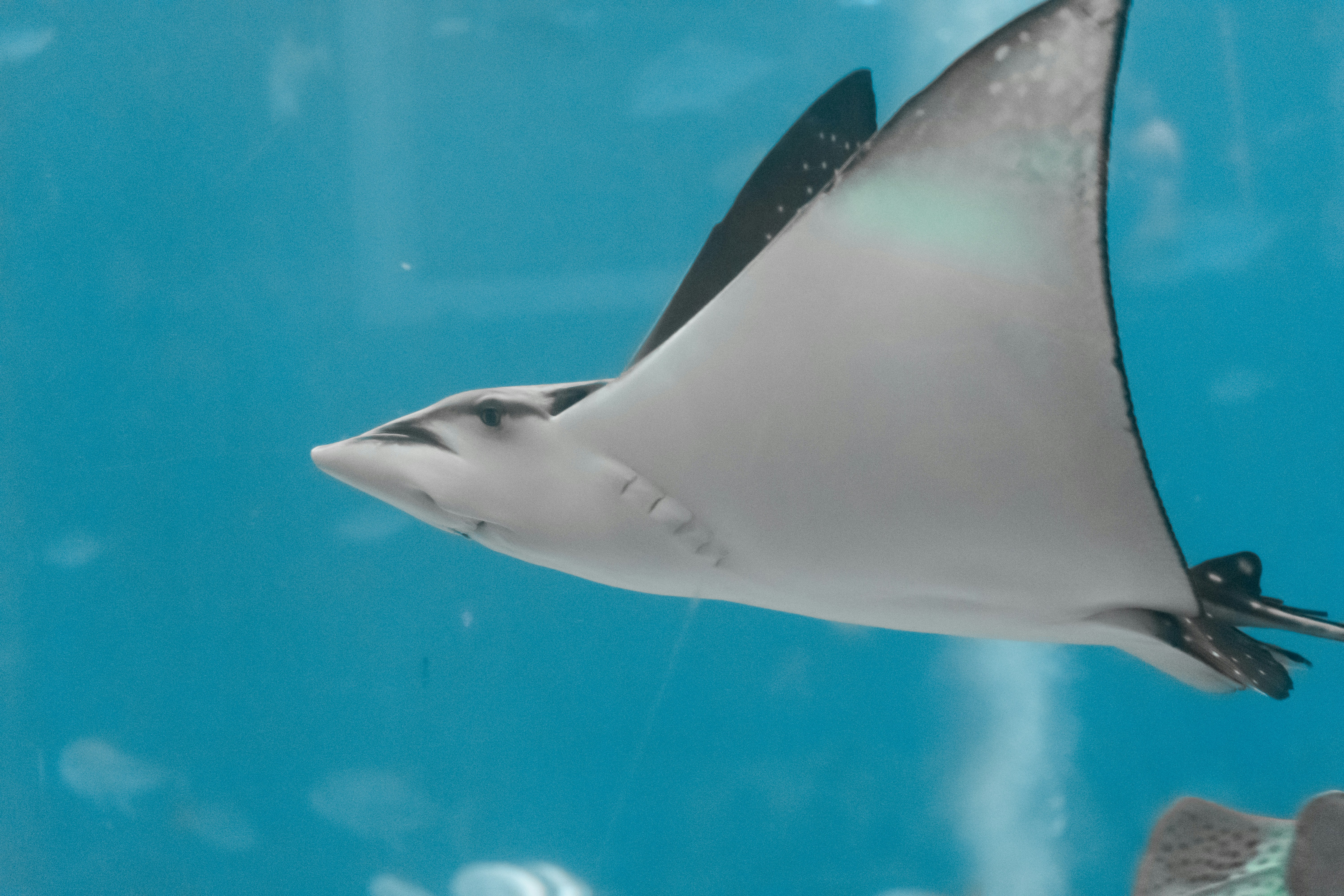 Photo by probablyrobin