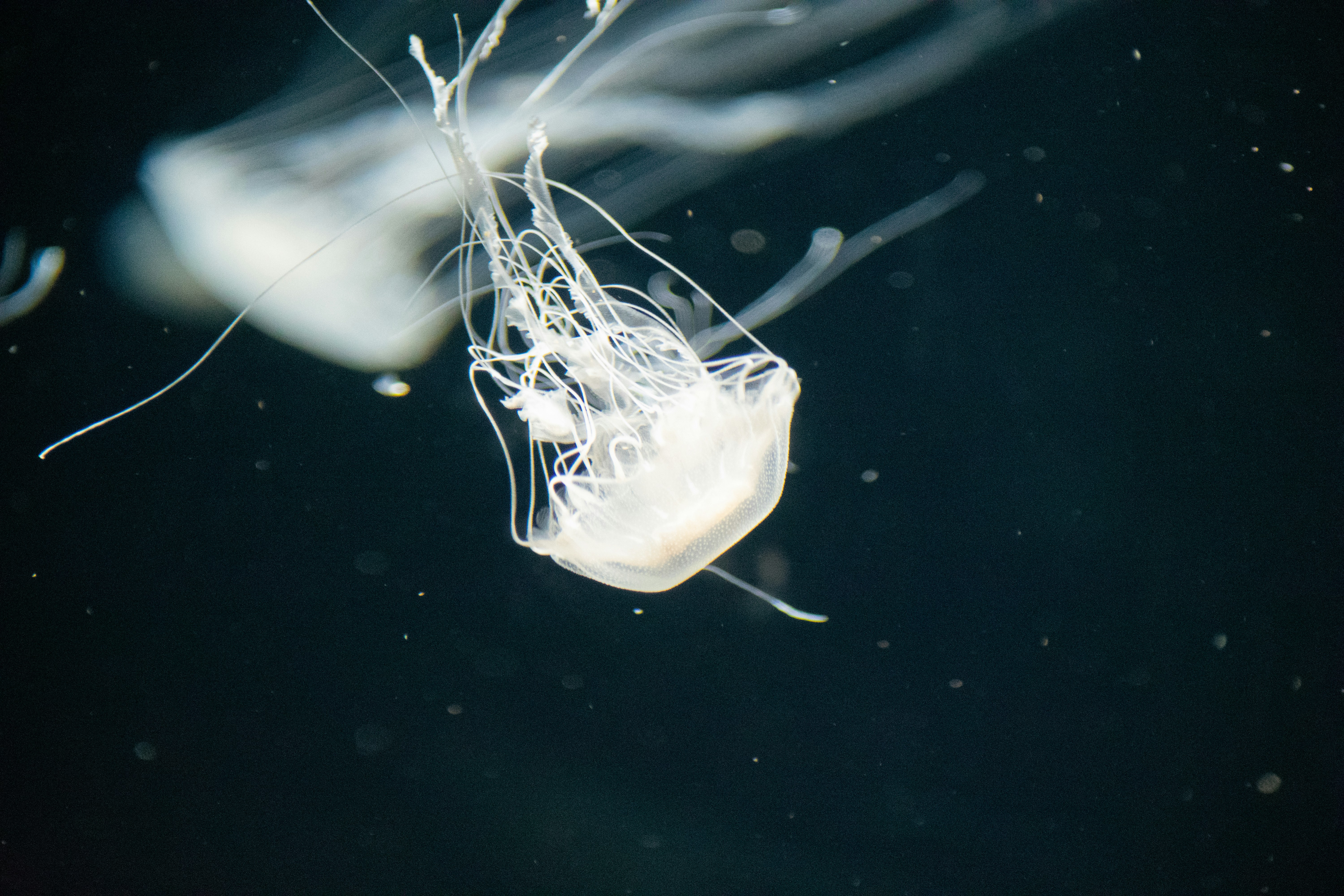 Photo by probablyrobin