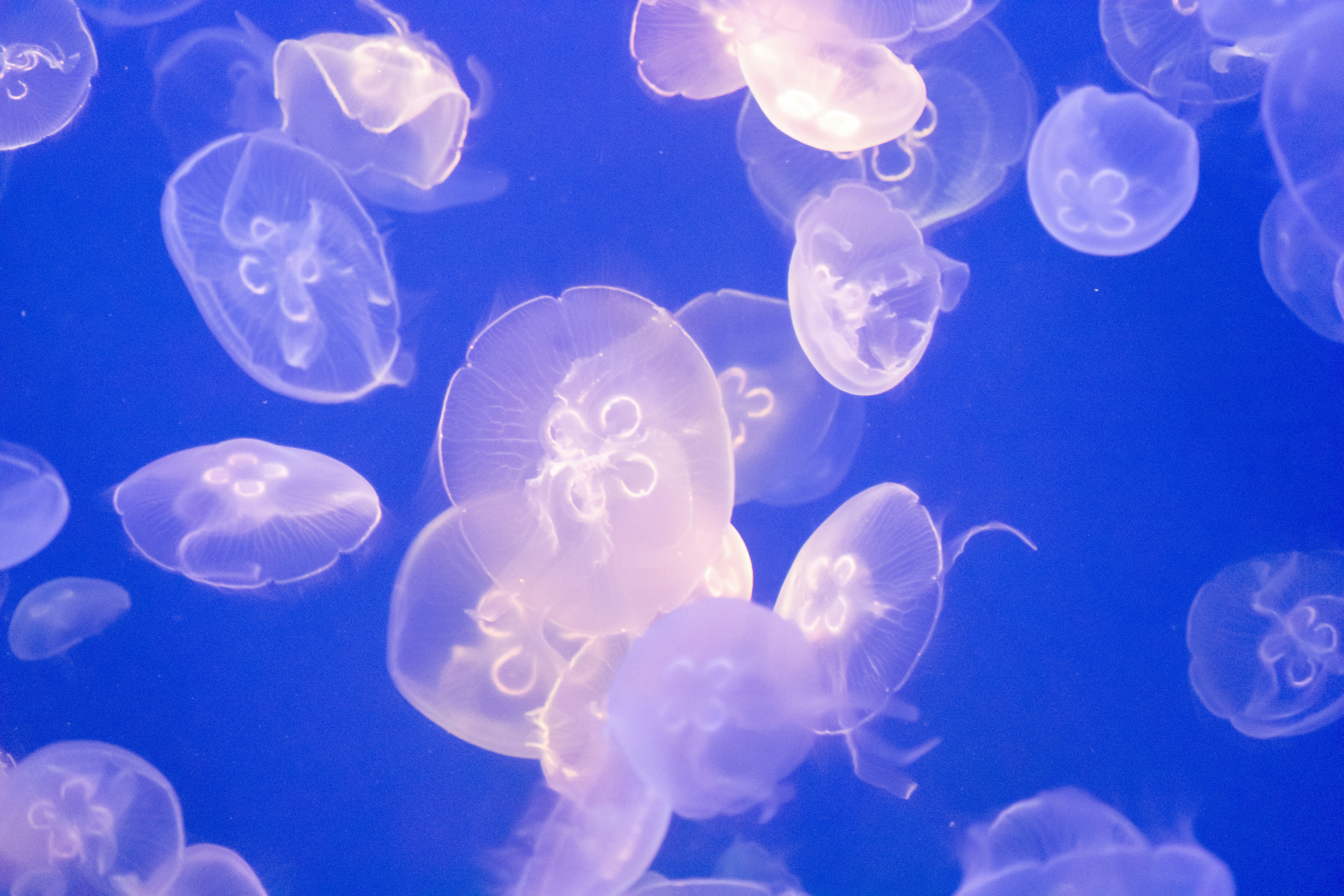 Photo by probablyrobin