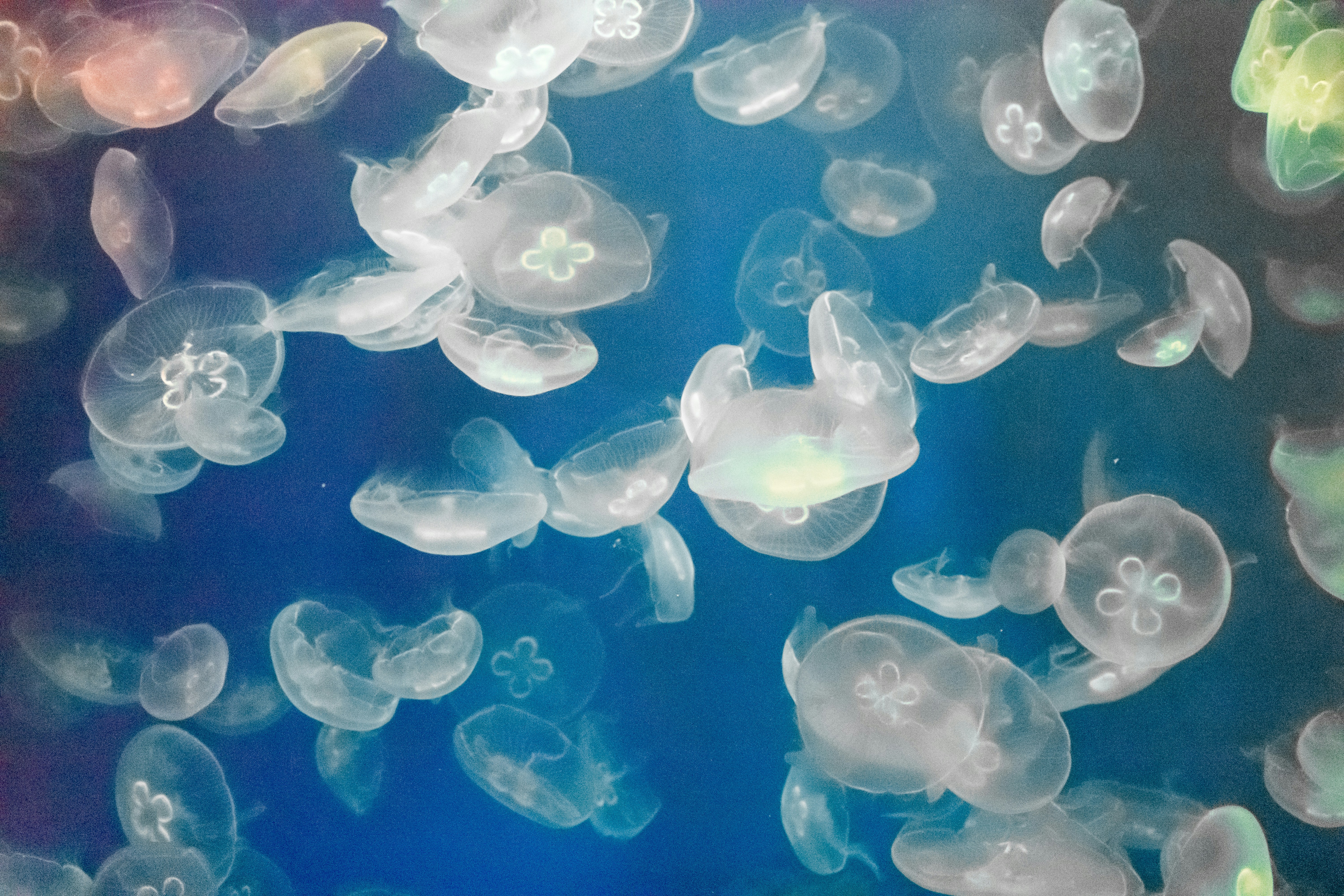 Photo by probablyrobin