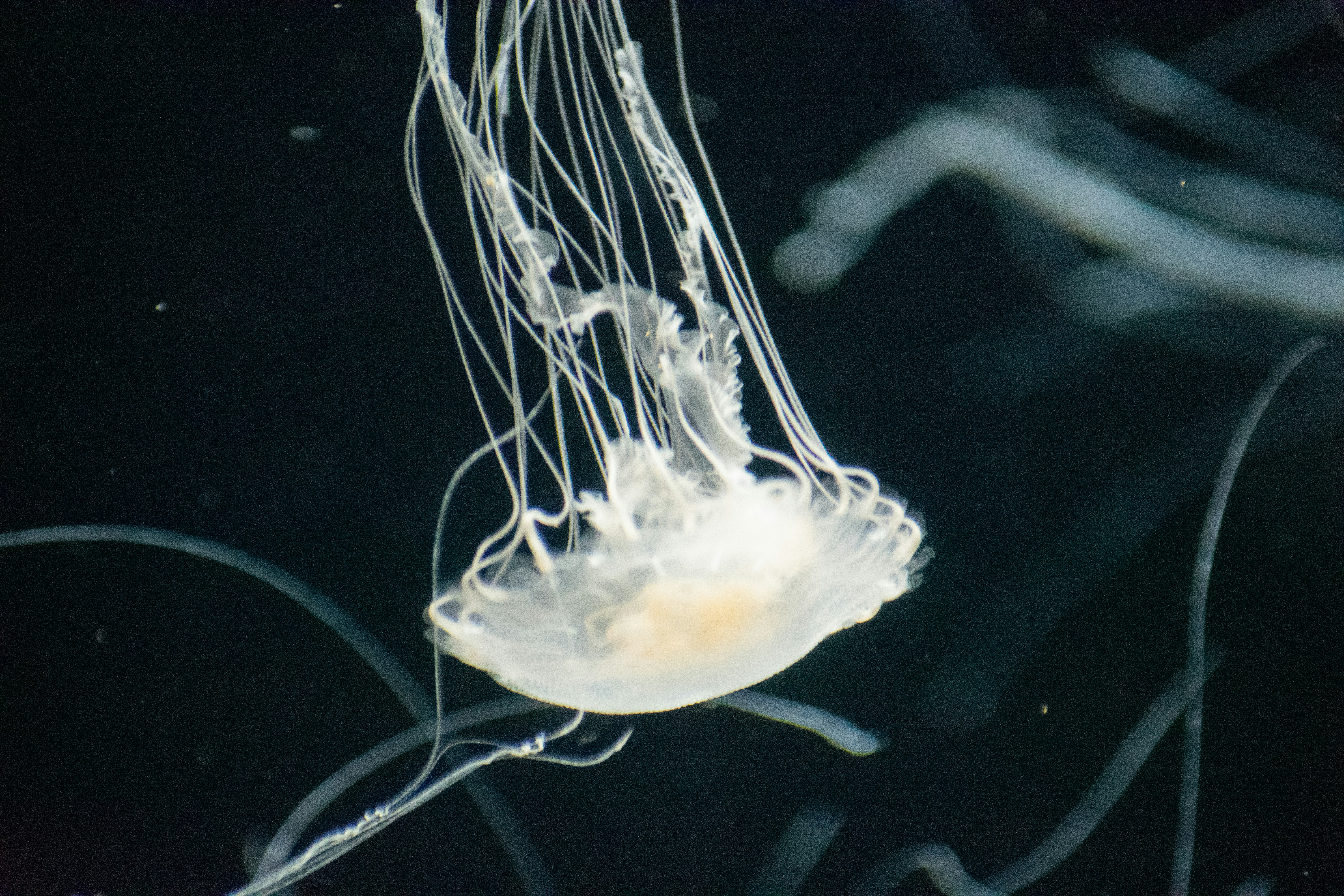 Photo by probablyrobin