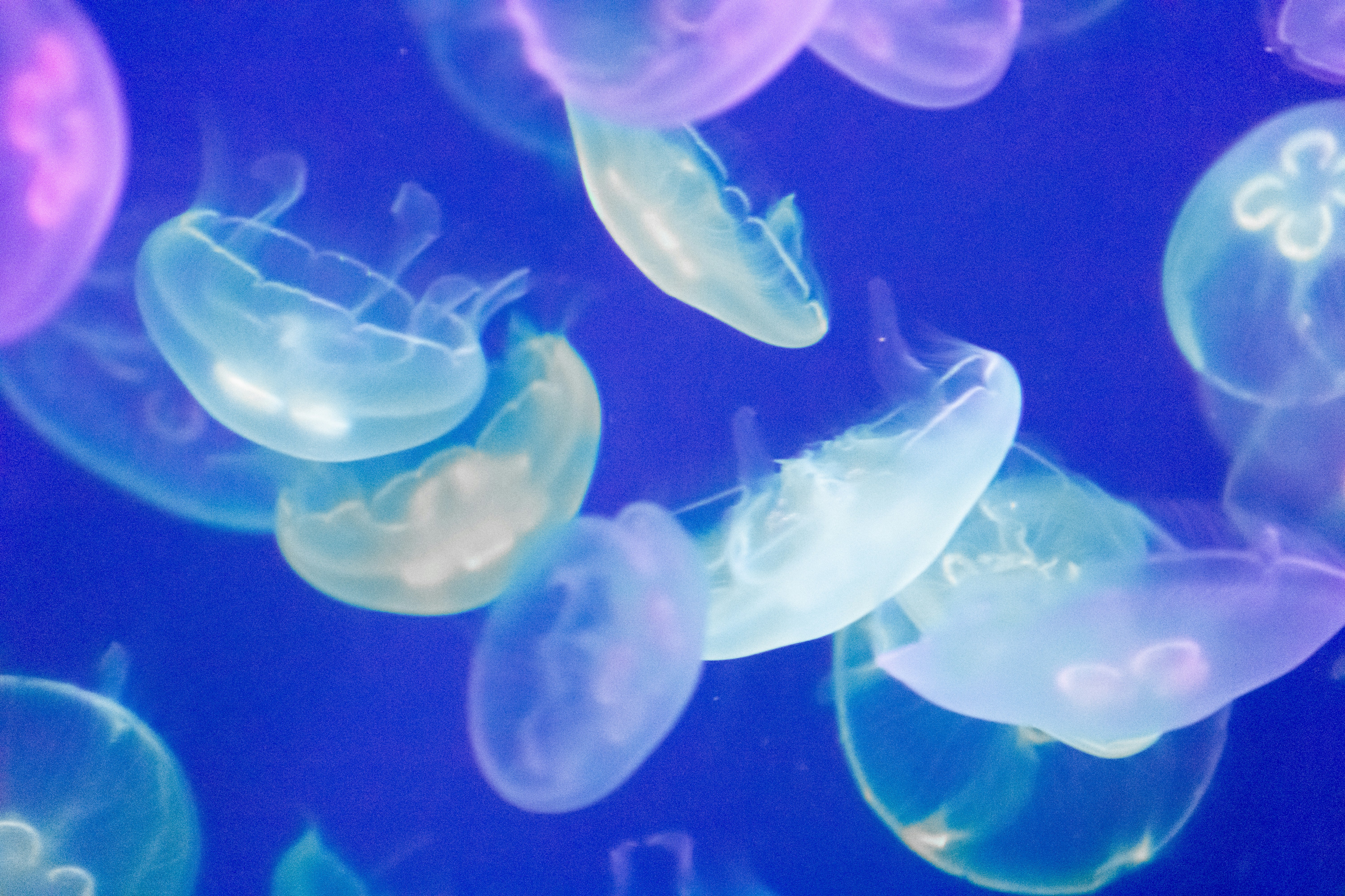 Photo by probablyrobin