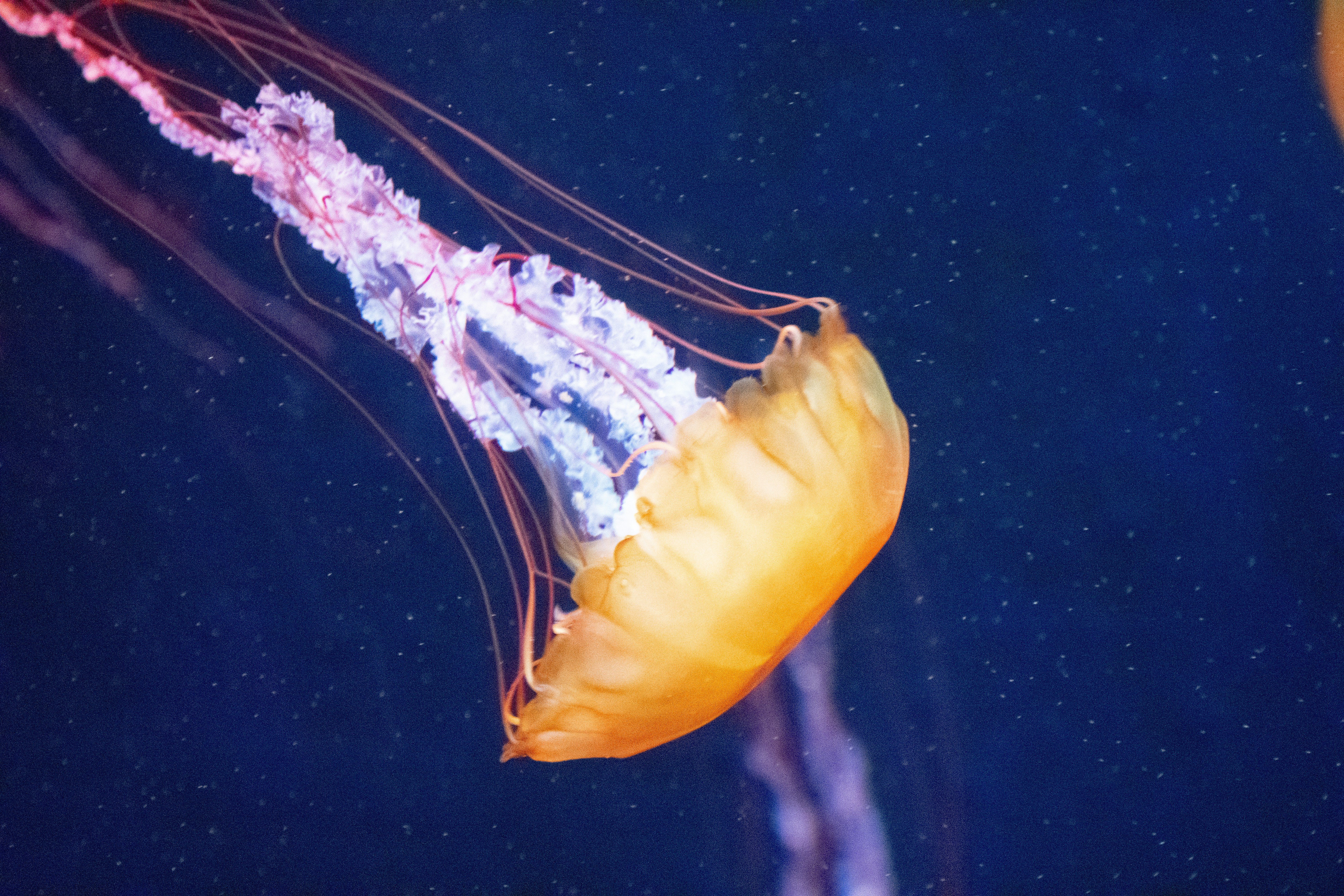 Photo by probablyrobin