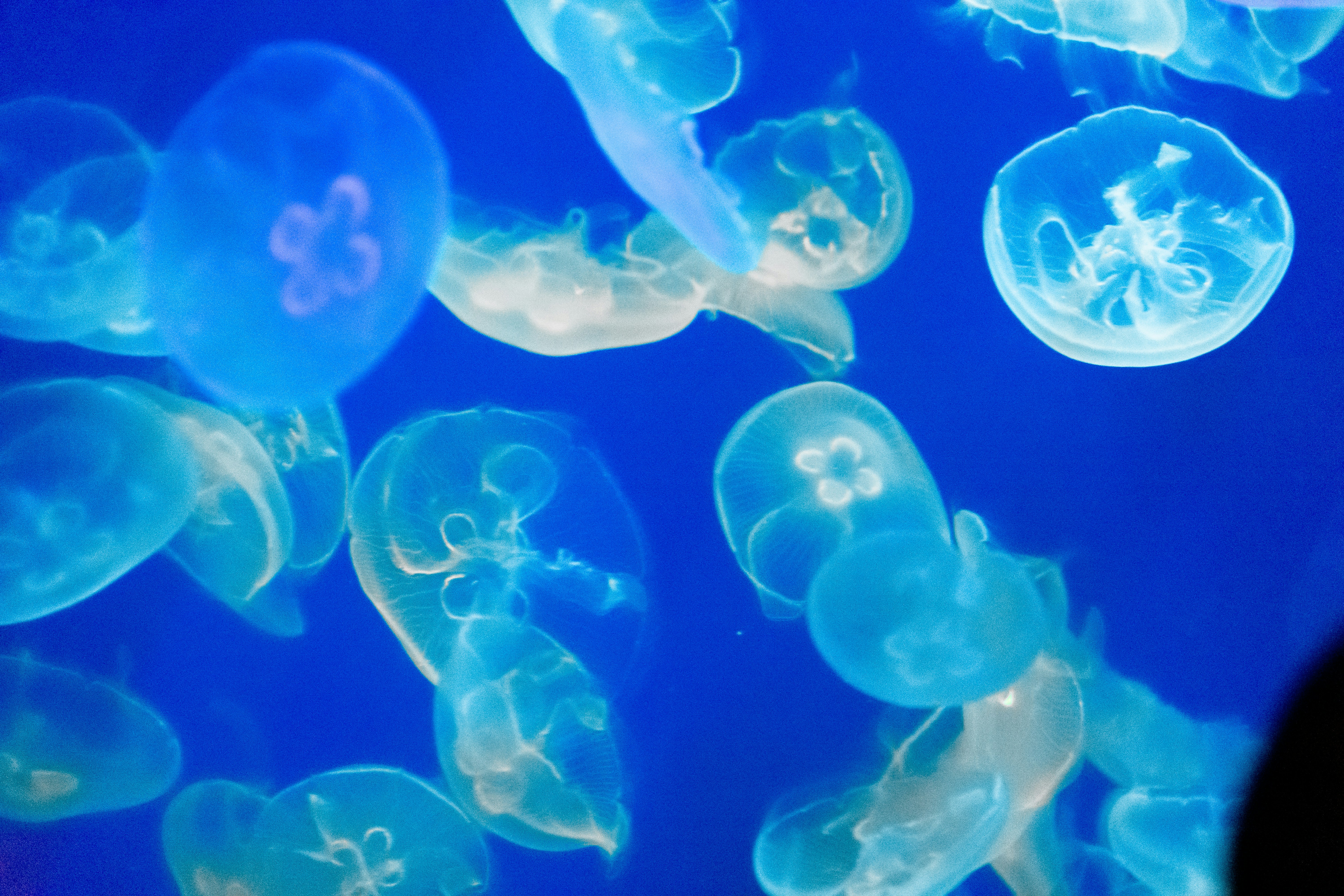 Photo by probablyrobin