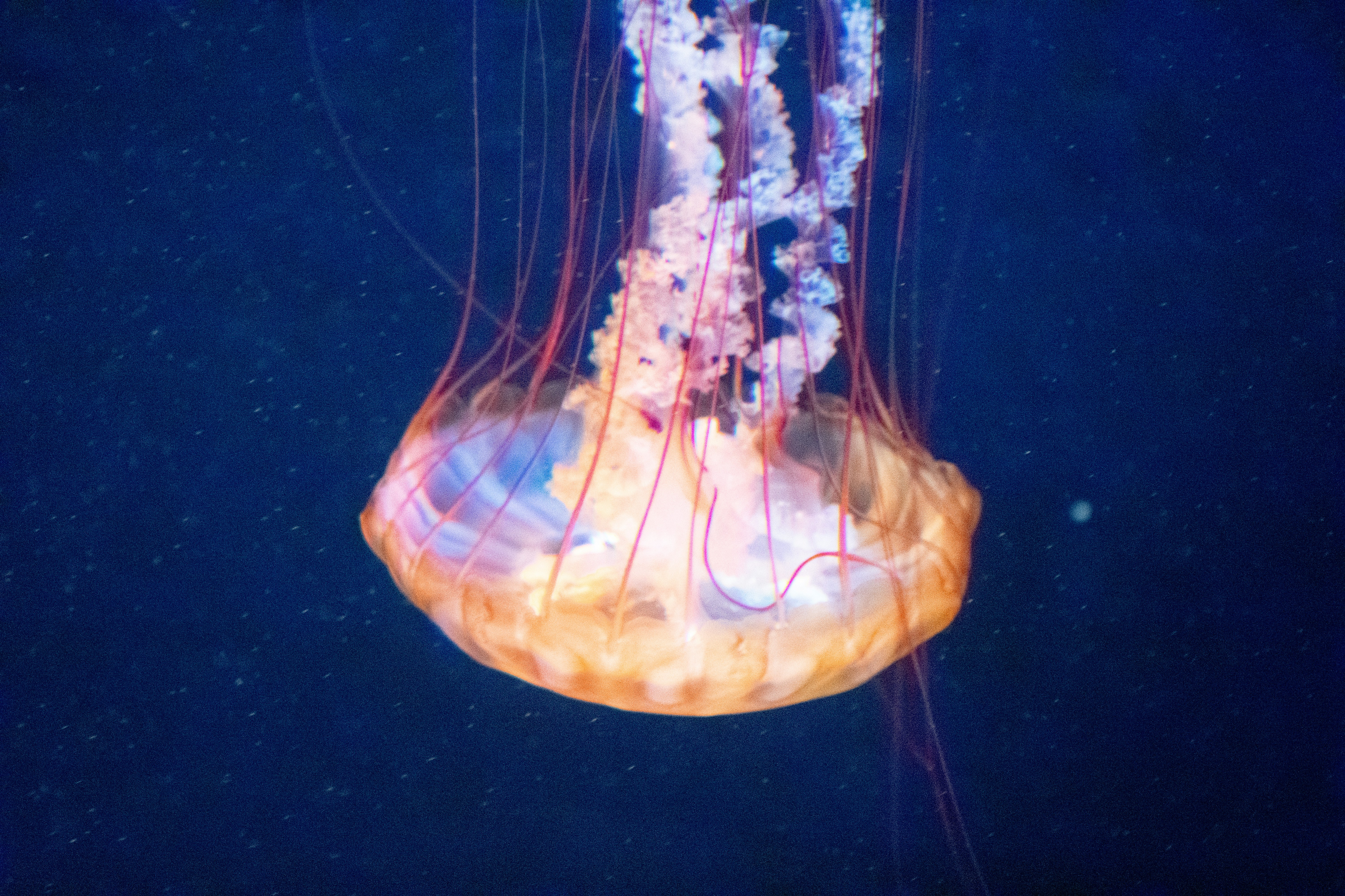 Photo by probablyrobin