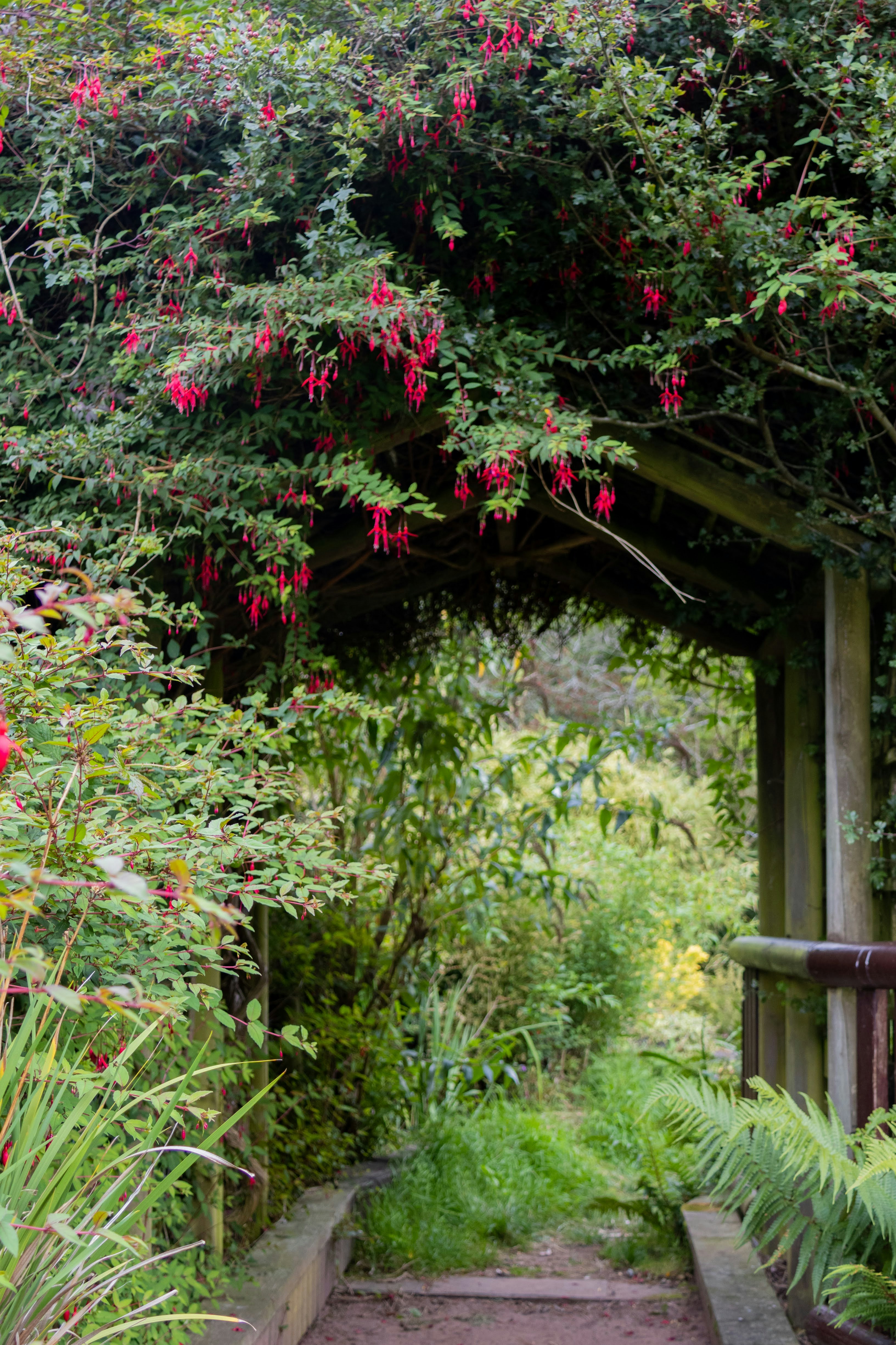 Photo by stephanie10