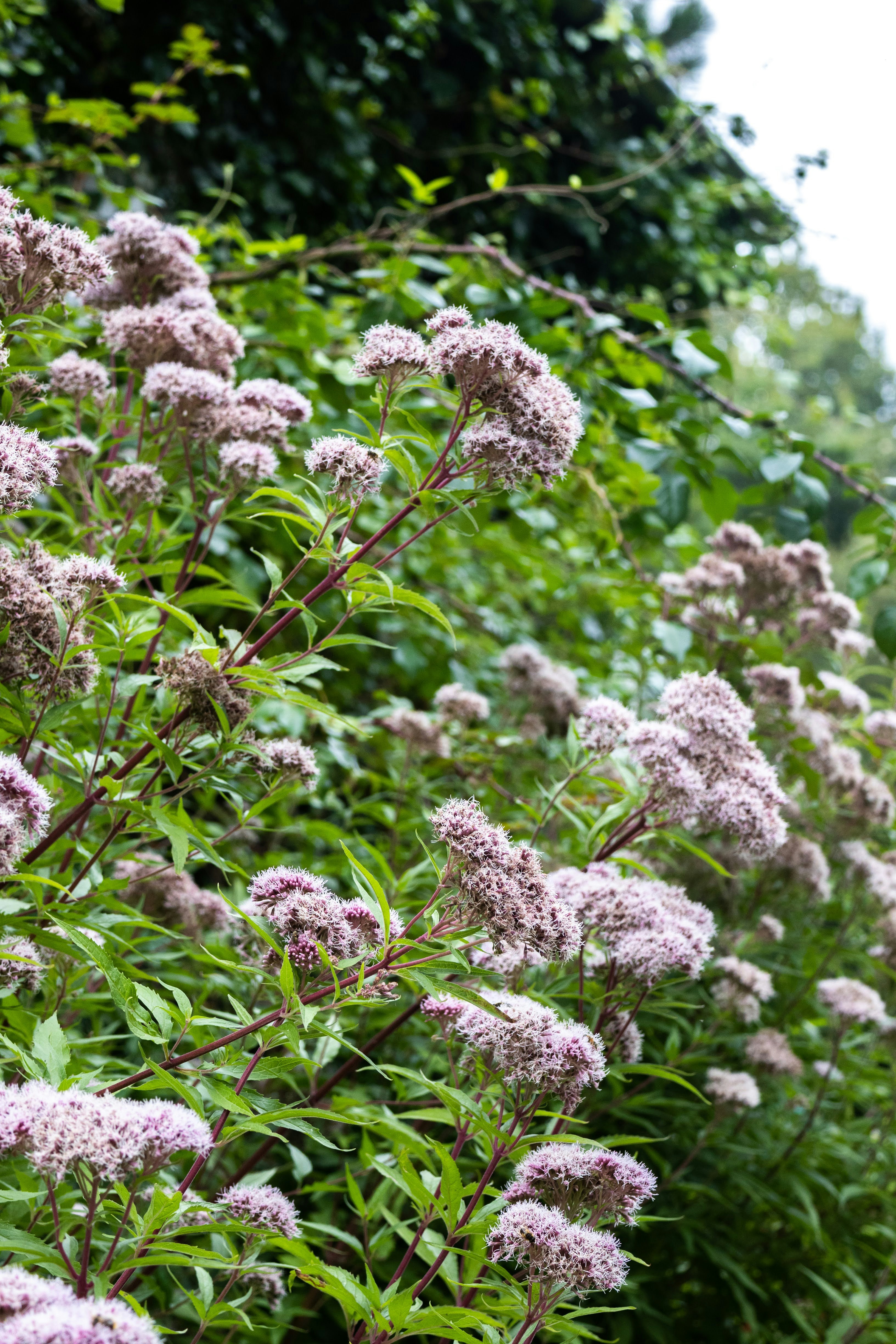 Photo by stephanie10