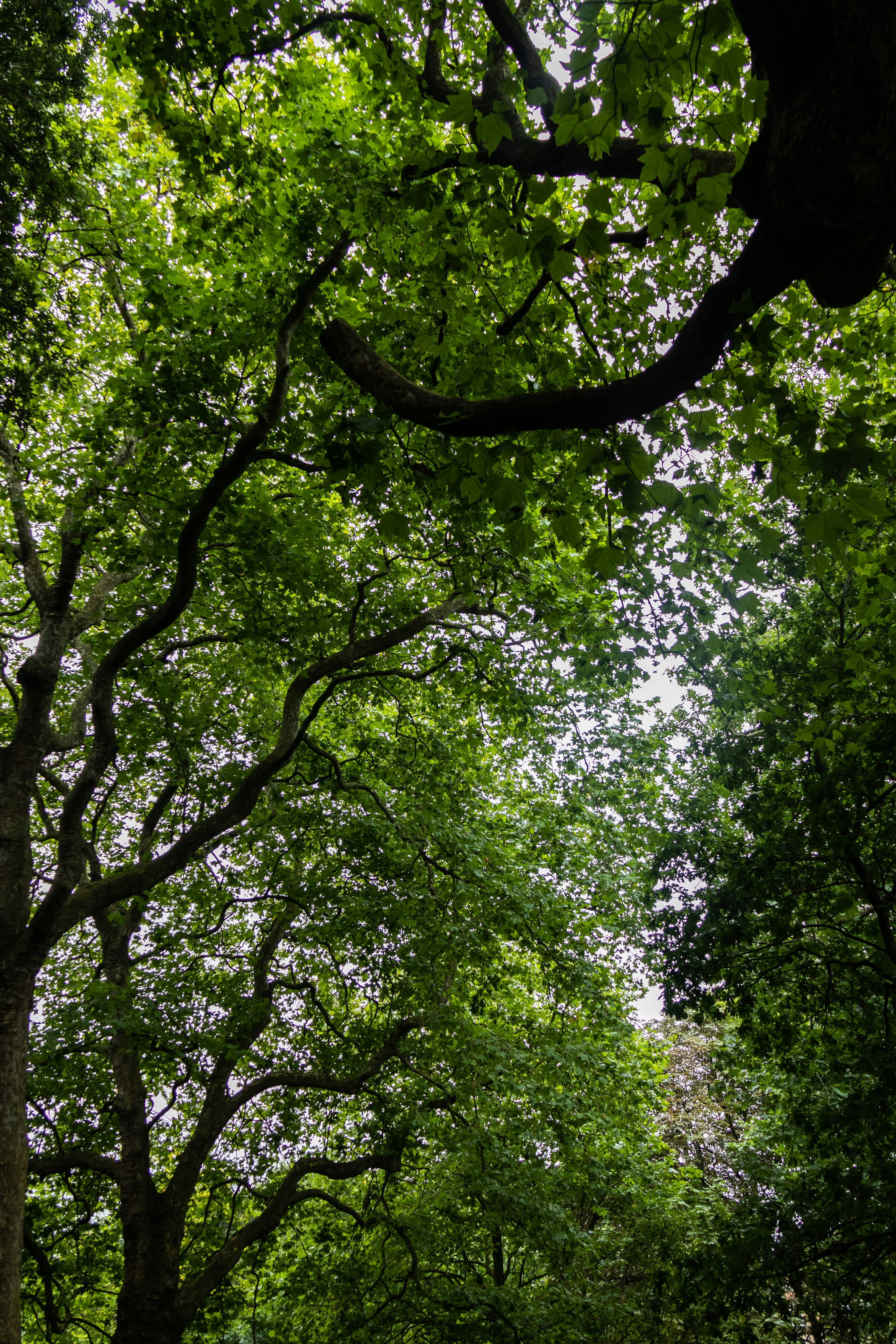 Photo by stephanie10