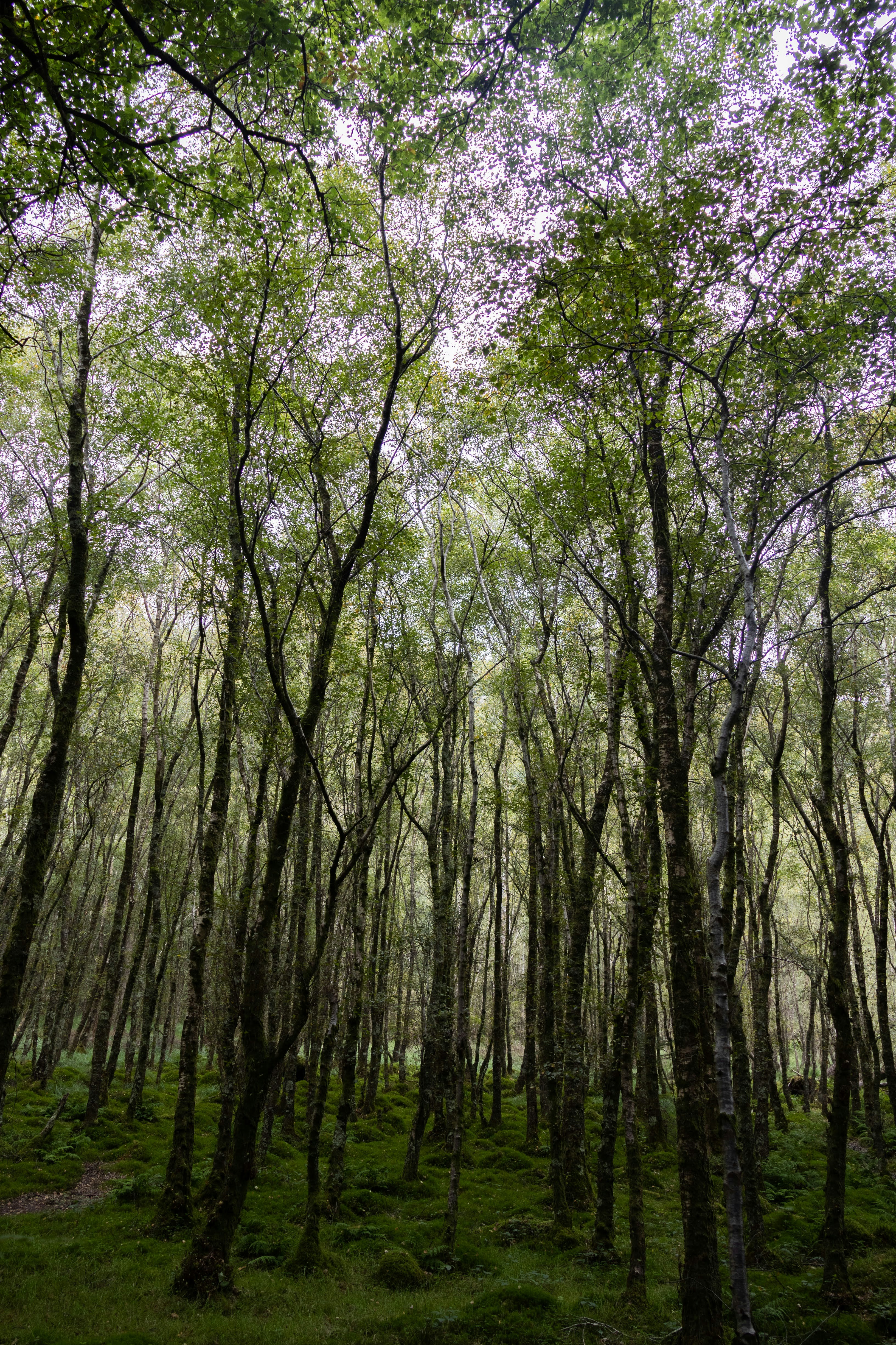 Photo by stephanie10