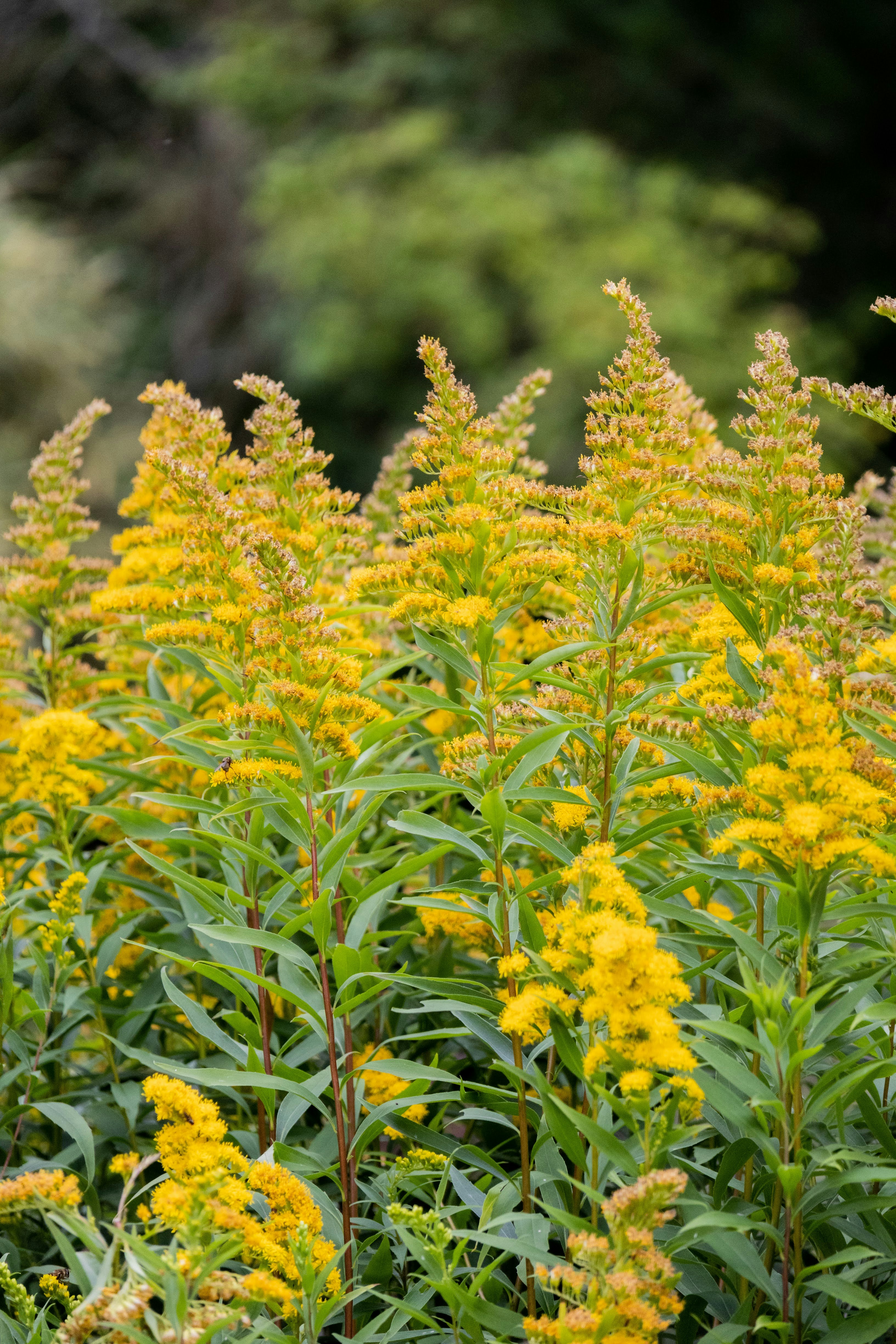 Photo by stephanie10