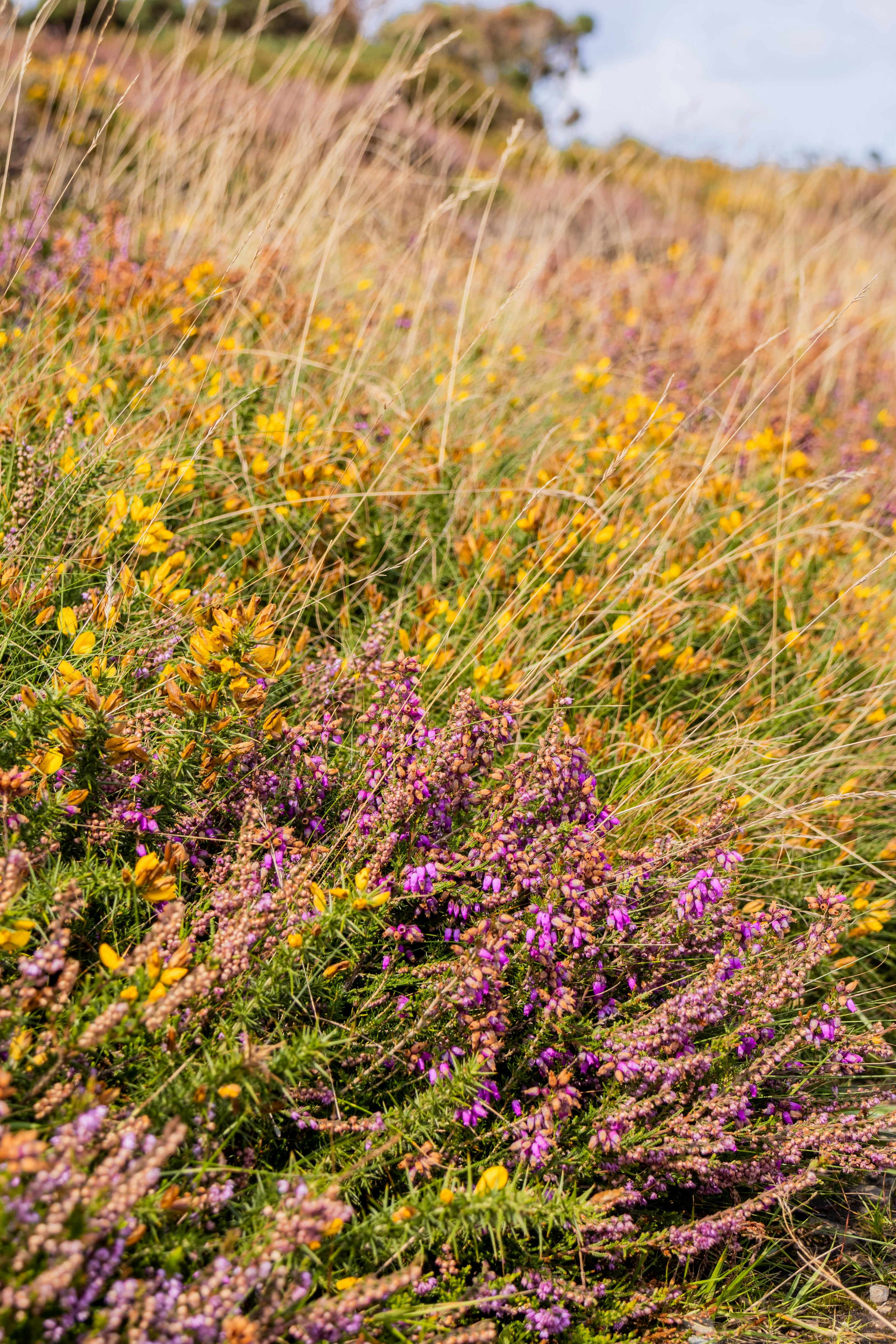 Photo by stephanie10