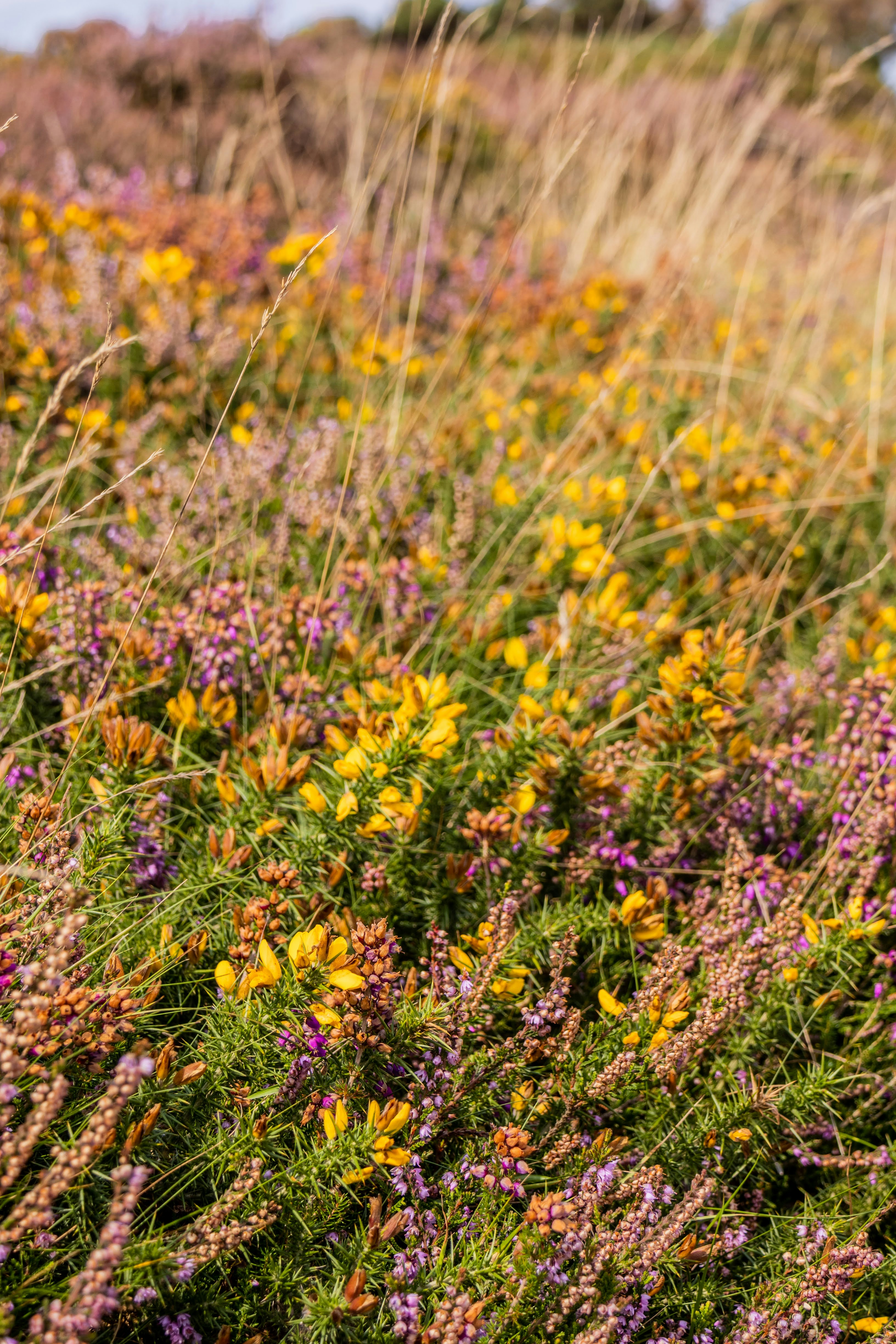 Photo by stephanie10