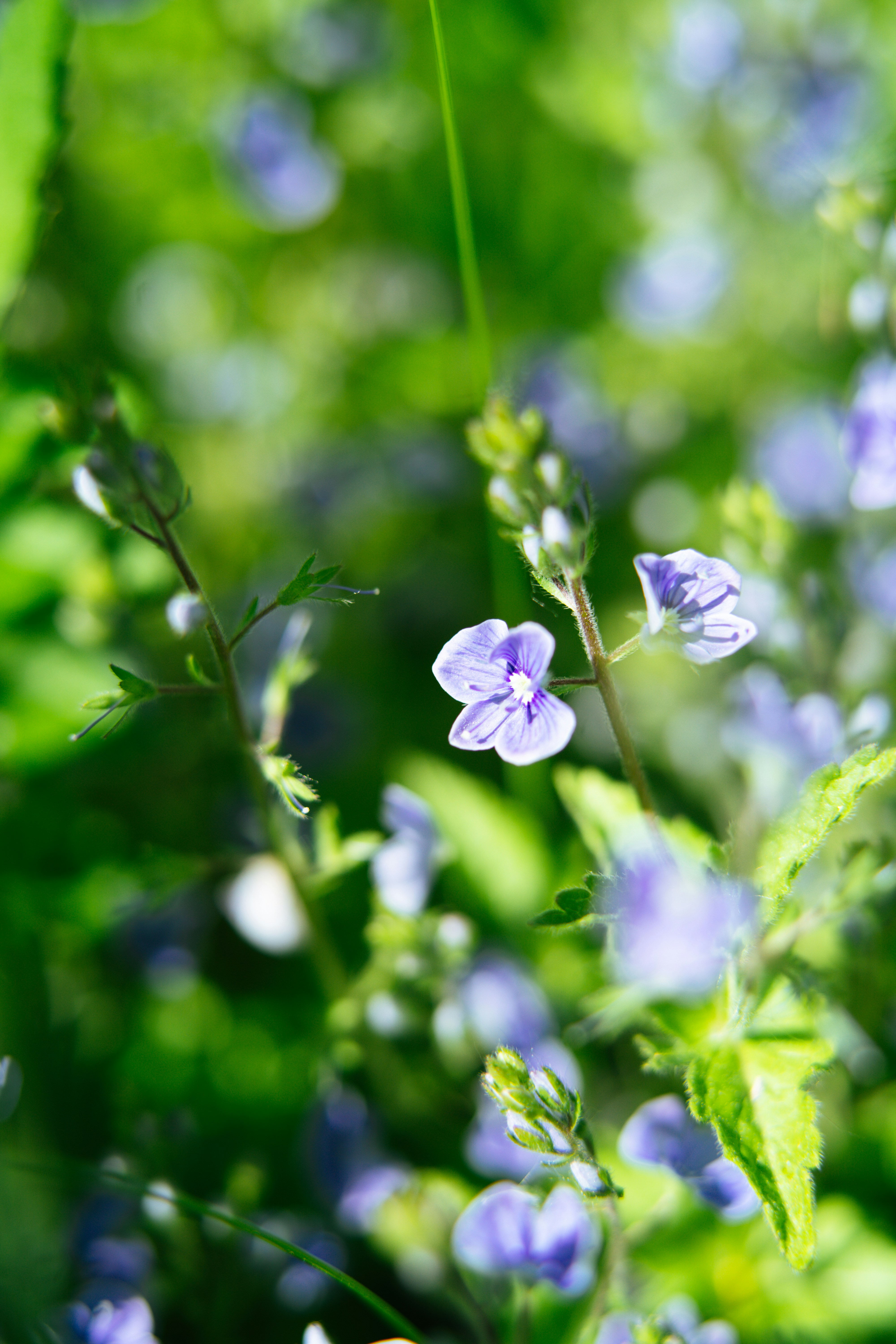 Photo by anamnesis33