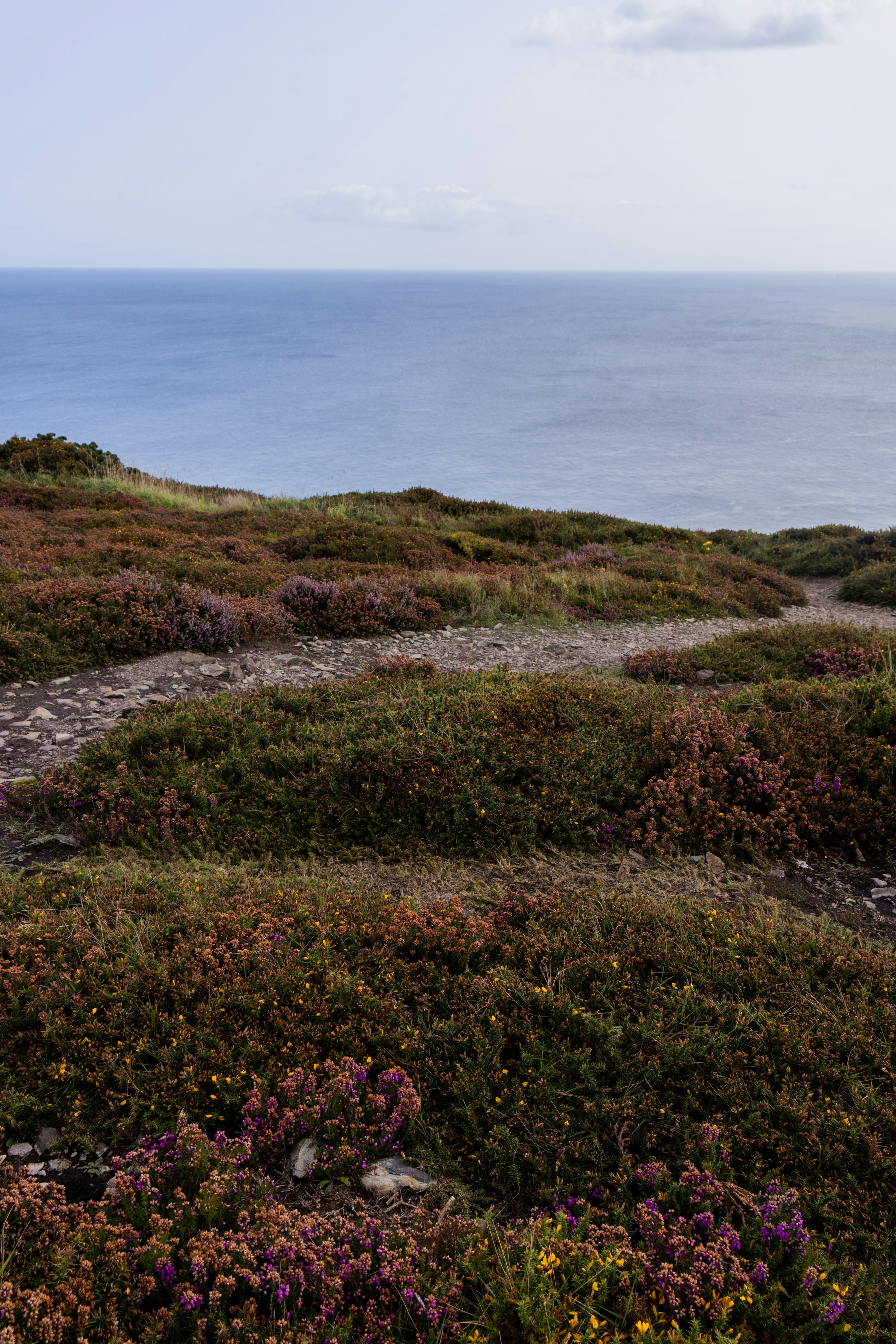 Photo by stephanie10