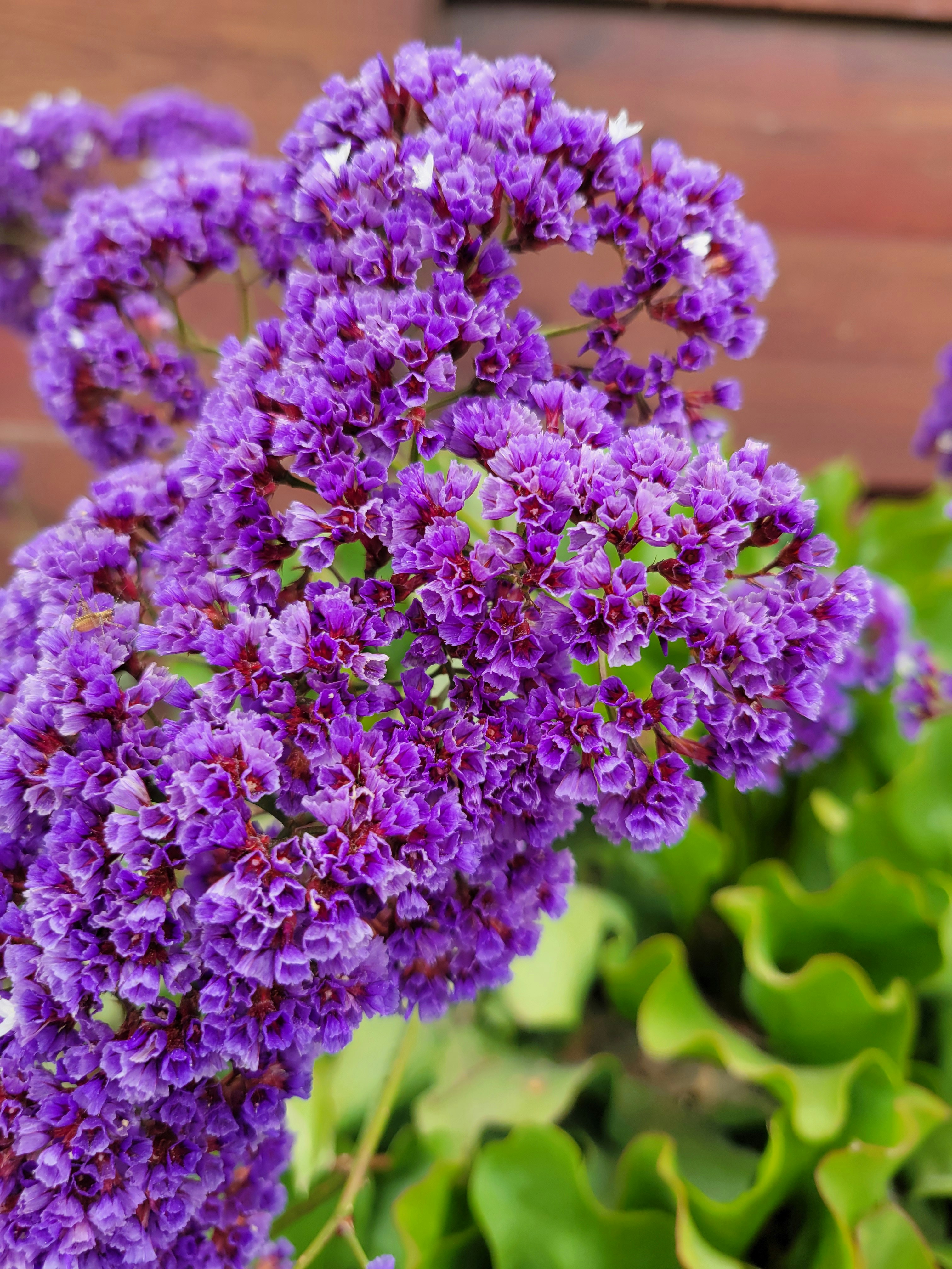 Photo by haripriya_k