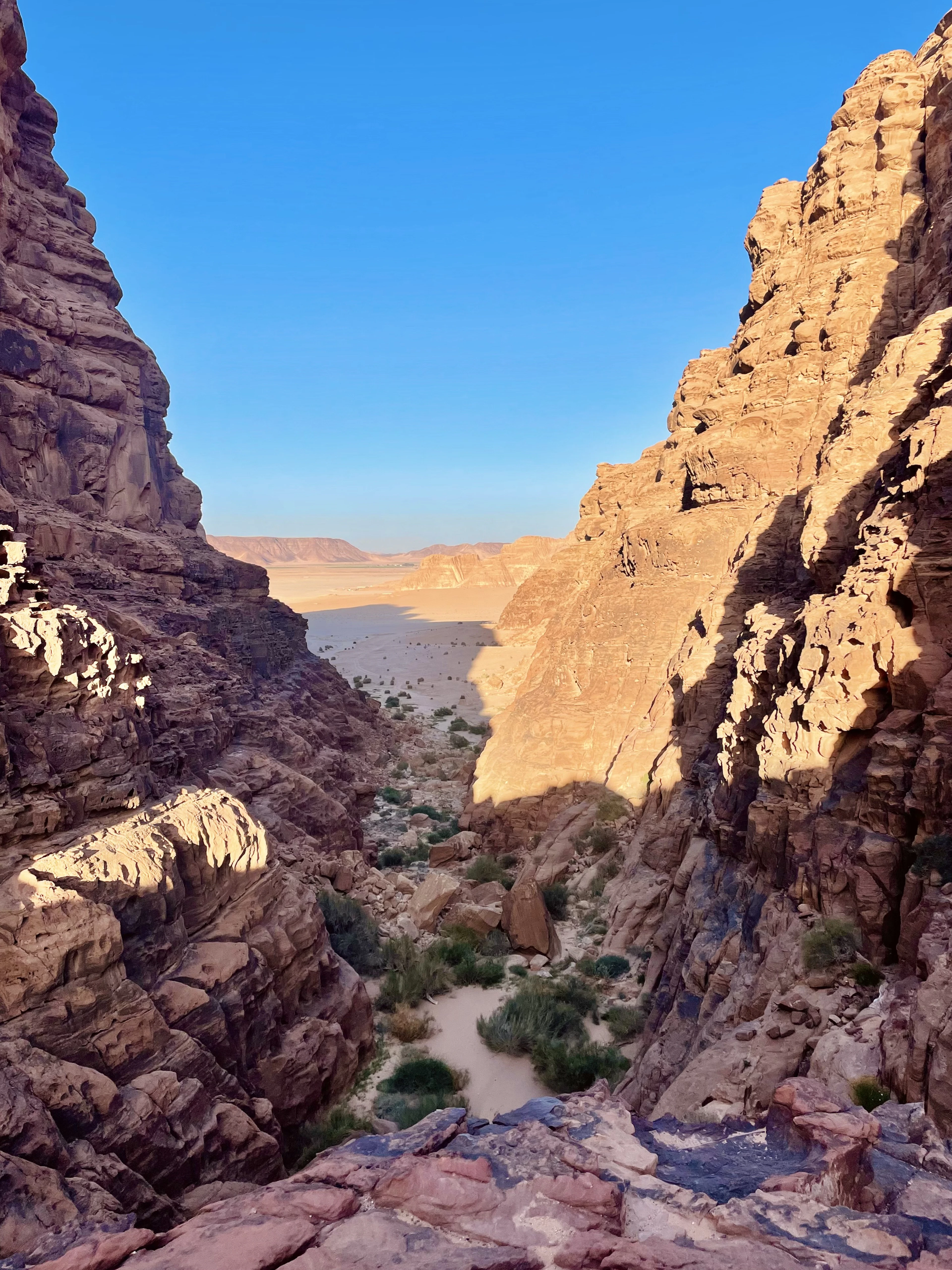Looking out through a narrow sandstone gorge in Wadi Rum, sunlit walls on one side and deep shade on the other, green scrub on the canyon floor and the open desert plain beyond.