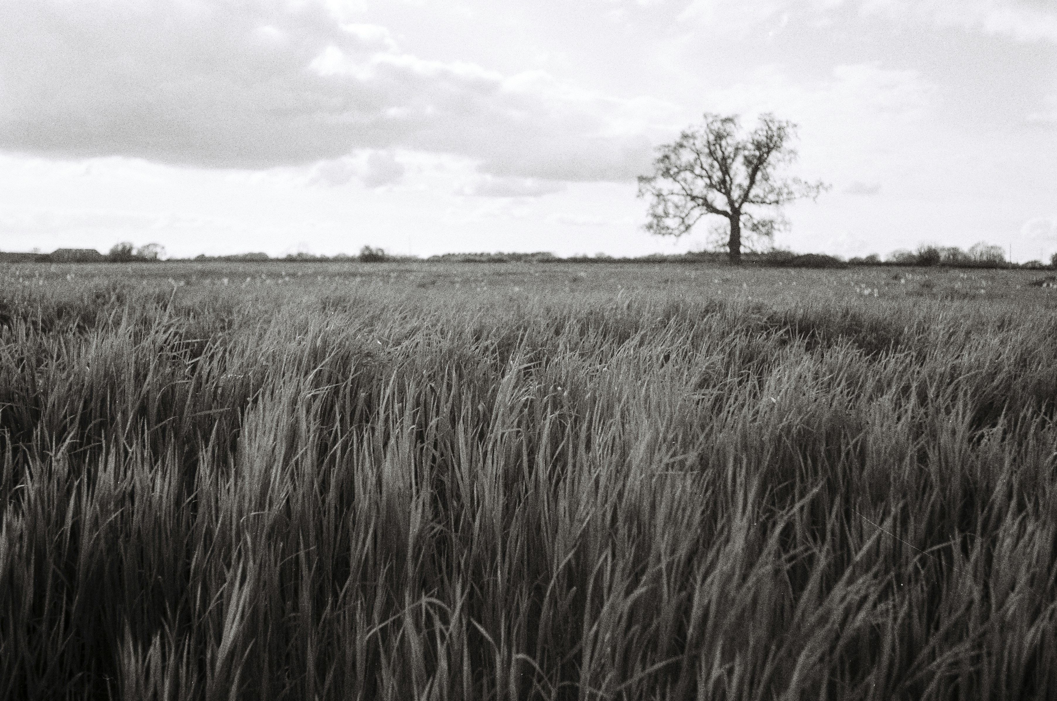 Photo by alexanderpharwood