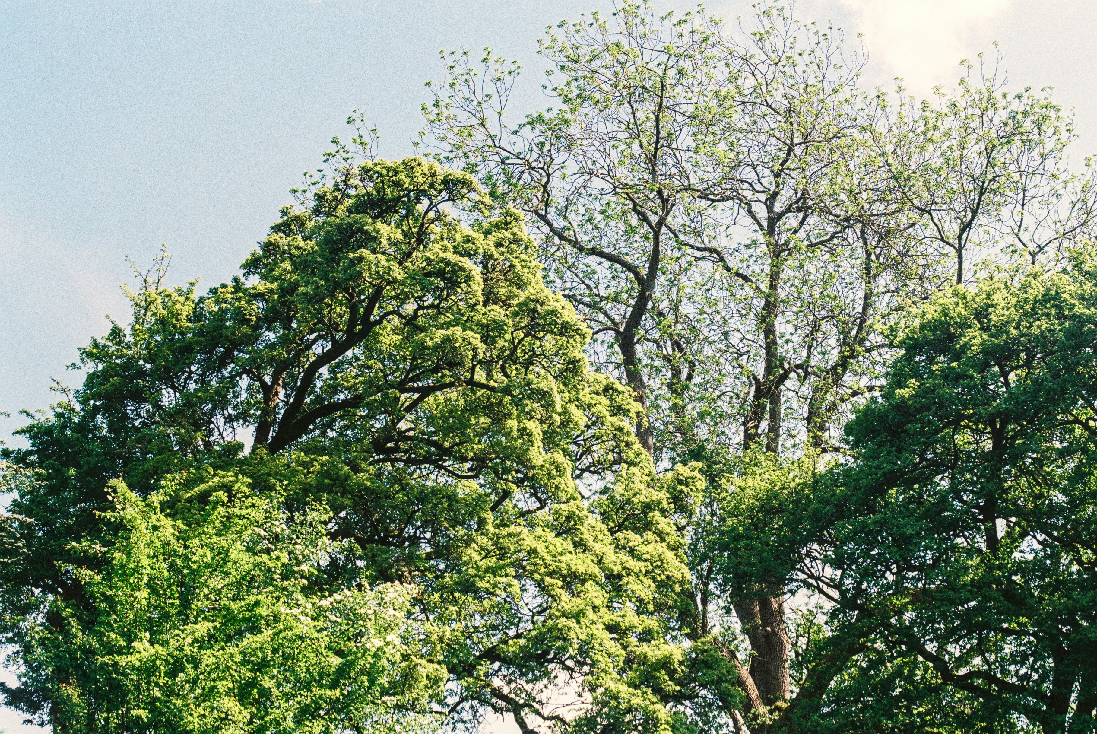 Photo by alexanderpharwood