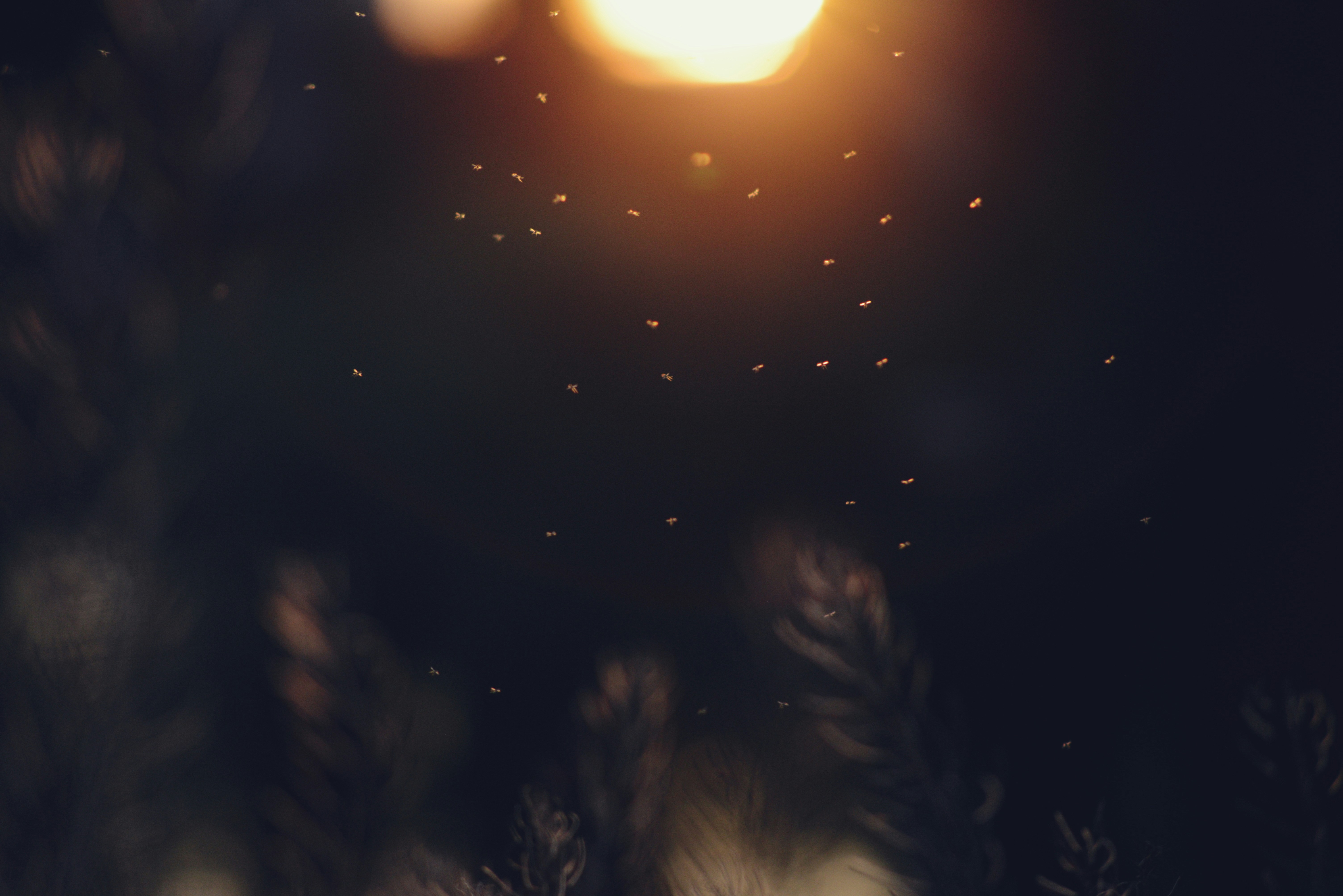 Photo by cherstve_pechivo