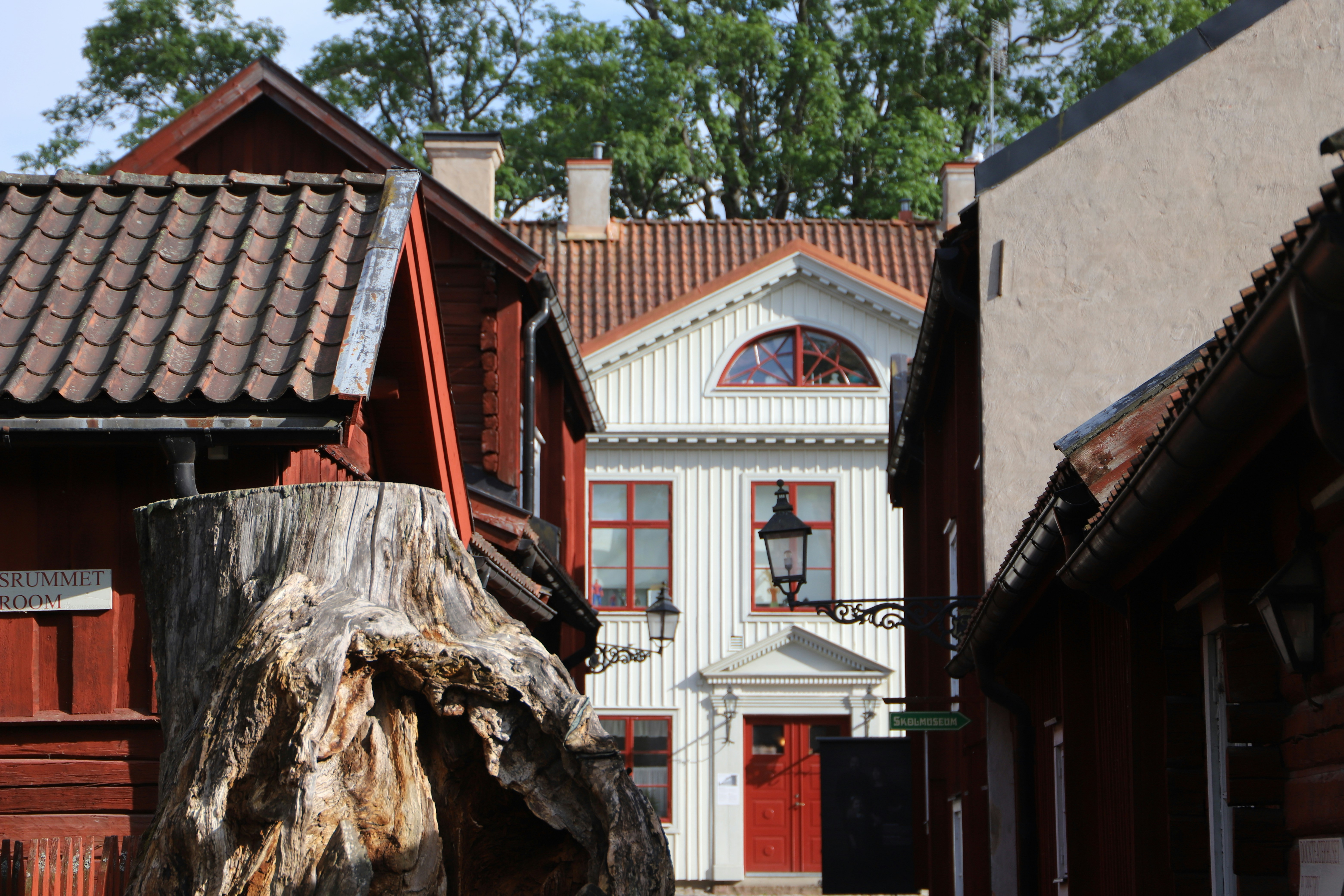 a tree stump in front of a row of houses