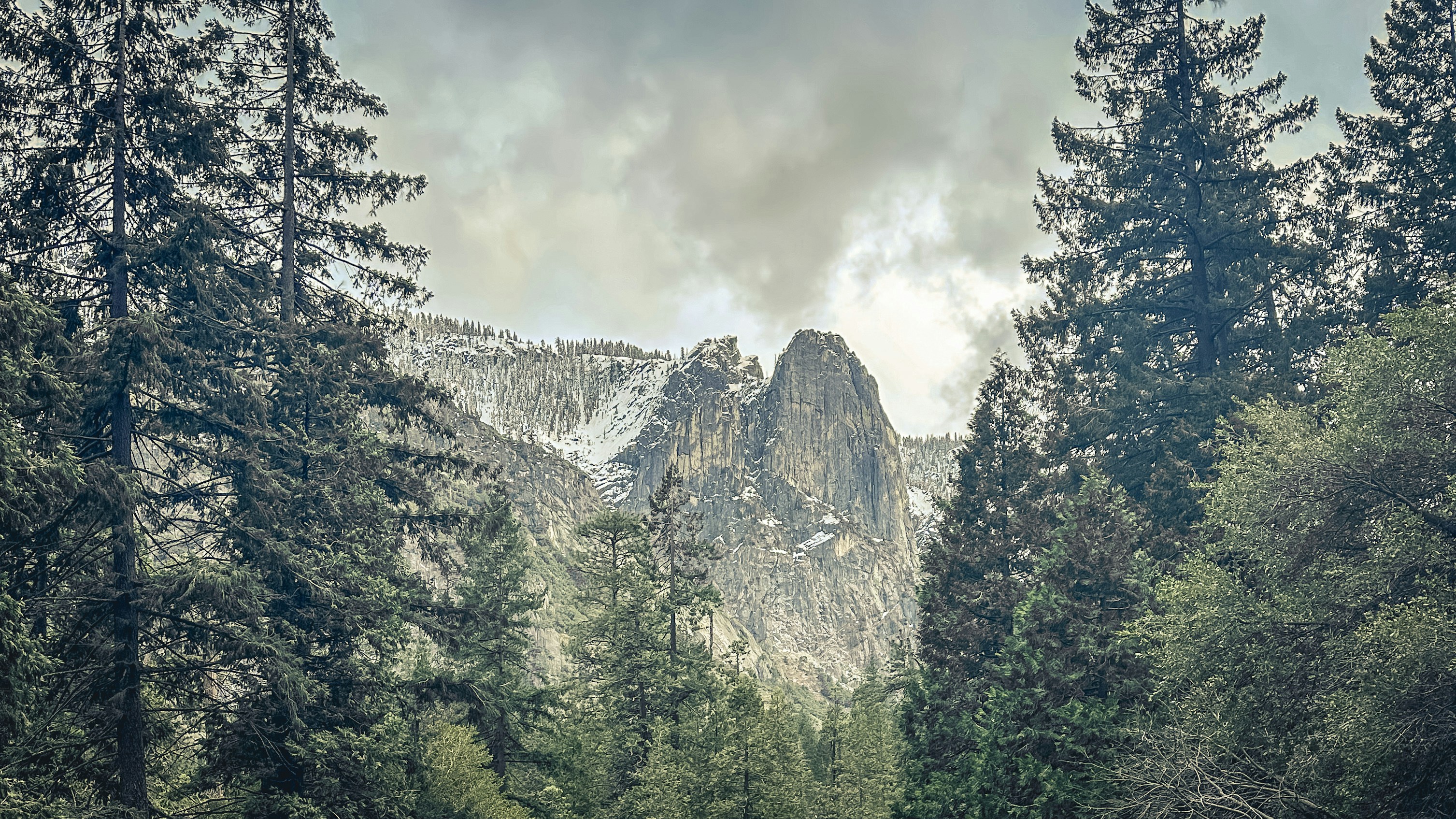 Photo by gibblesmash139