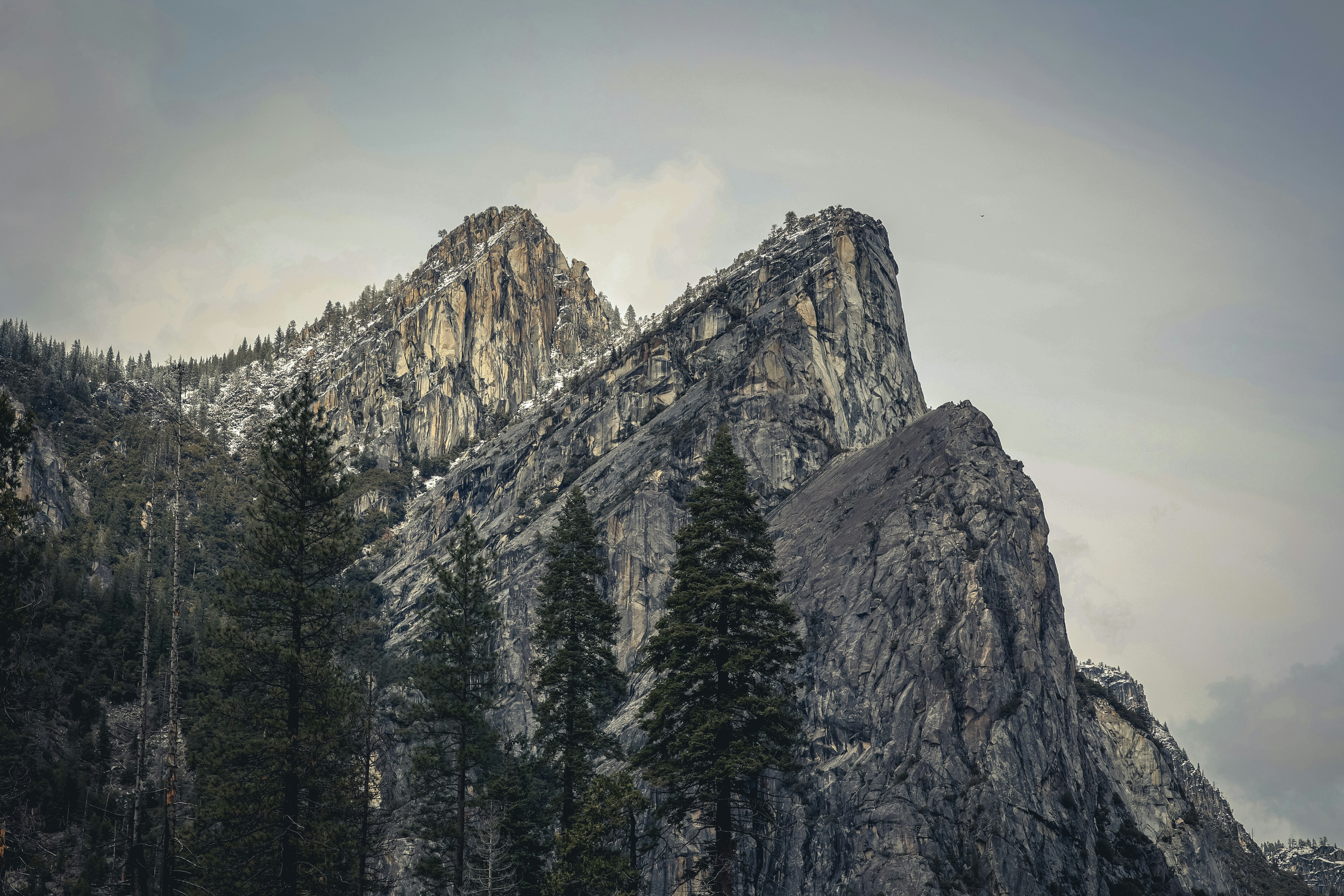 Photo by gibblesmash139