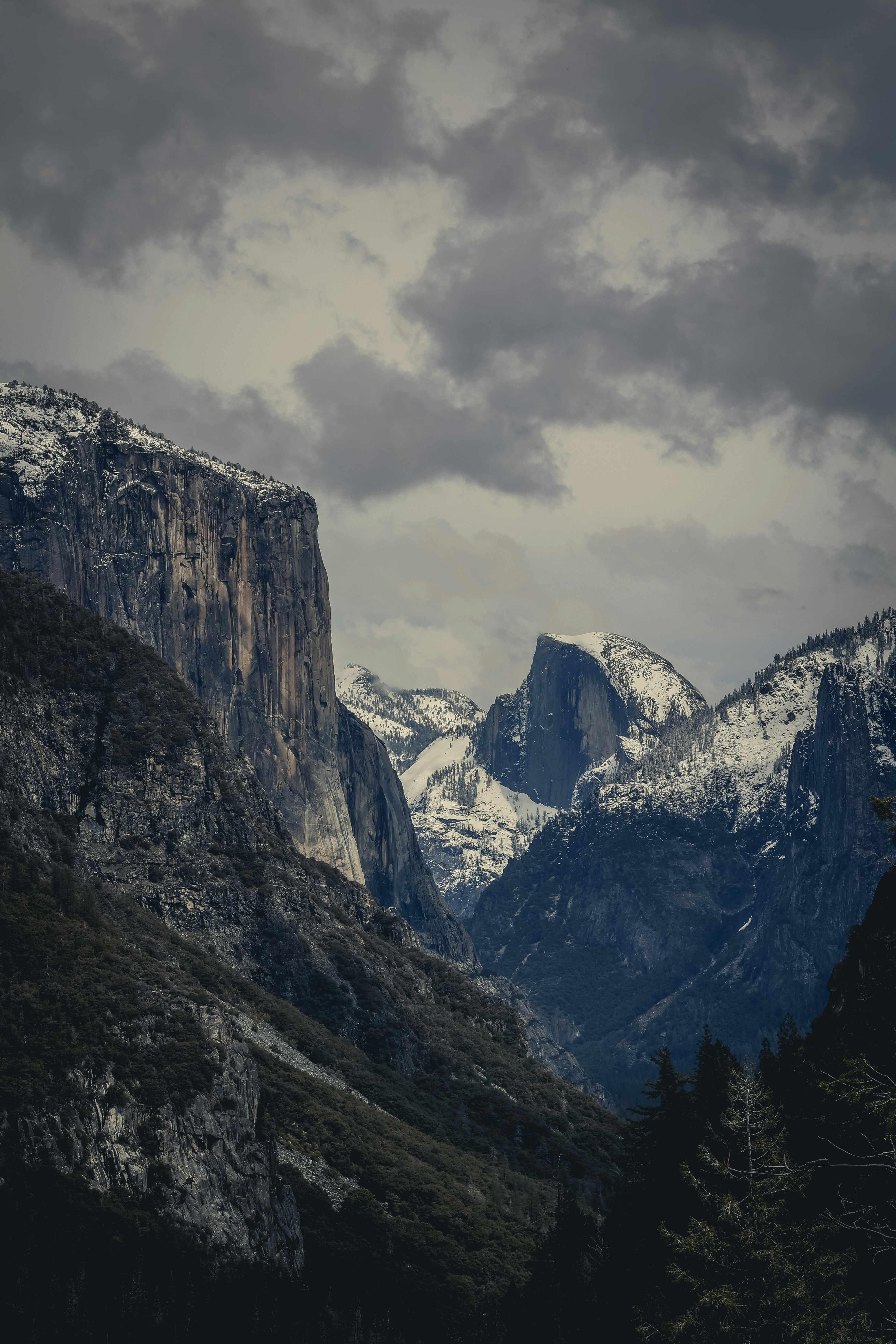 Photo by gibblesmash139