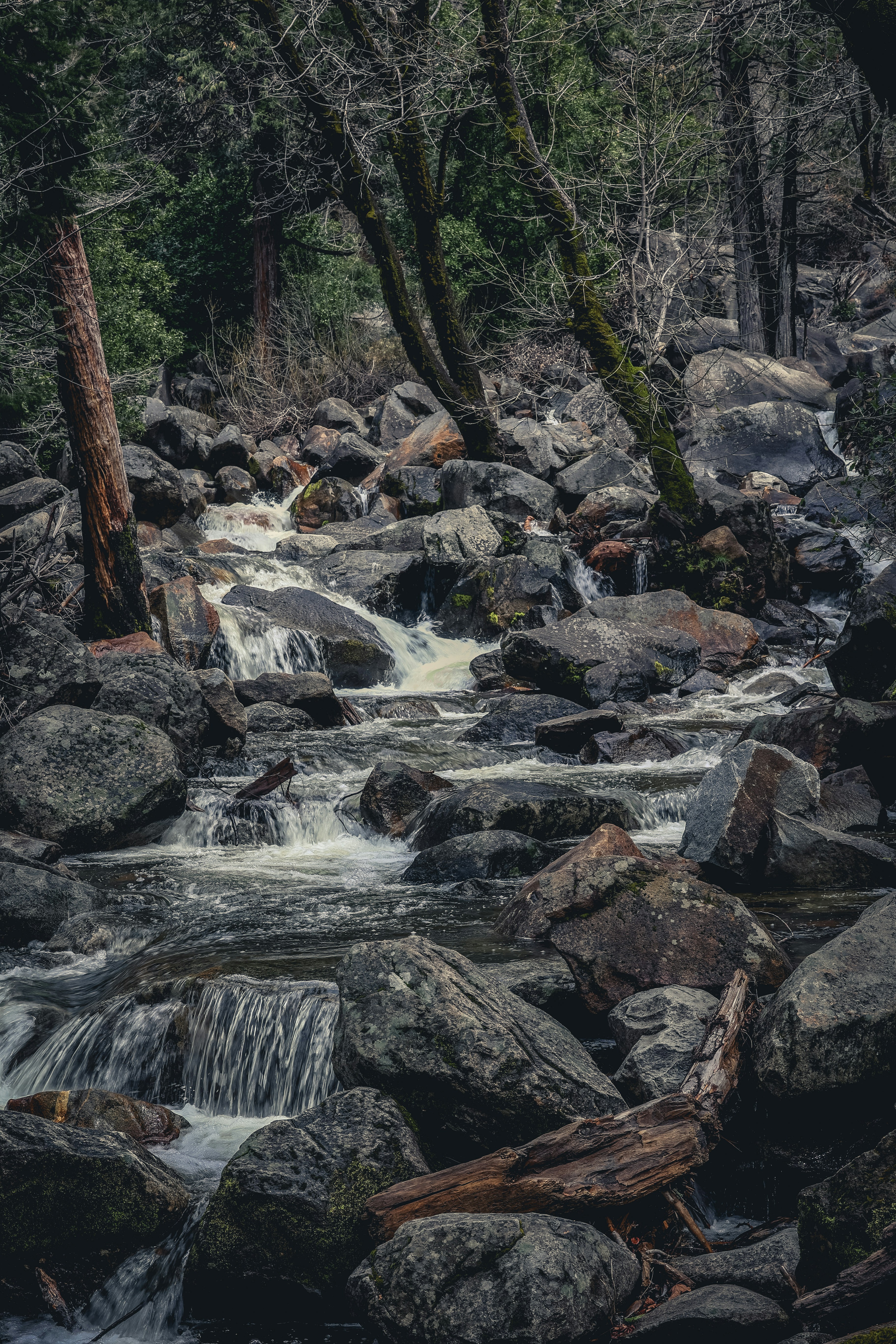 Photo by gibblesmash139