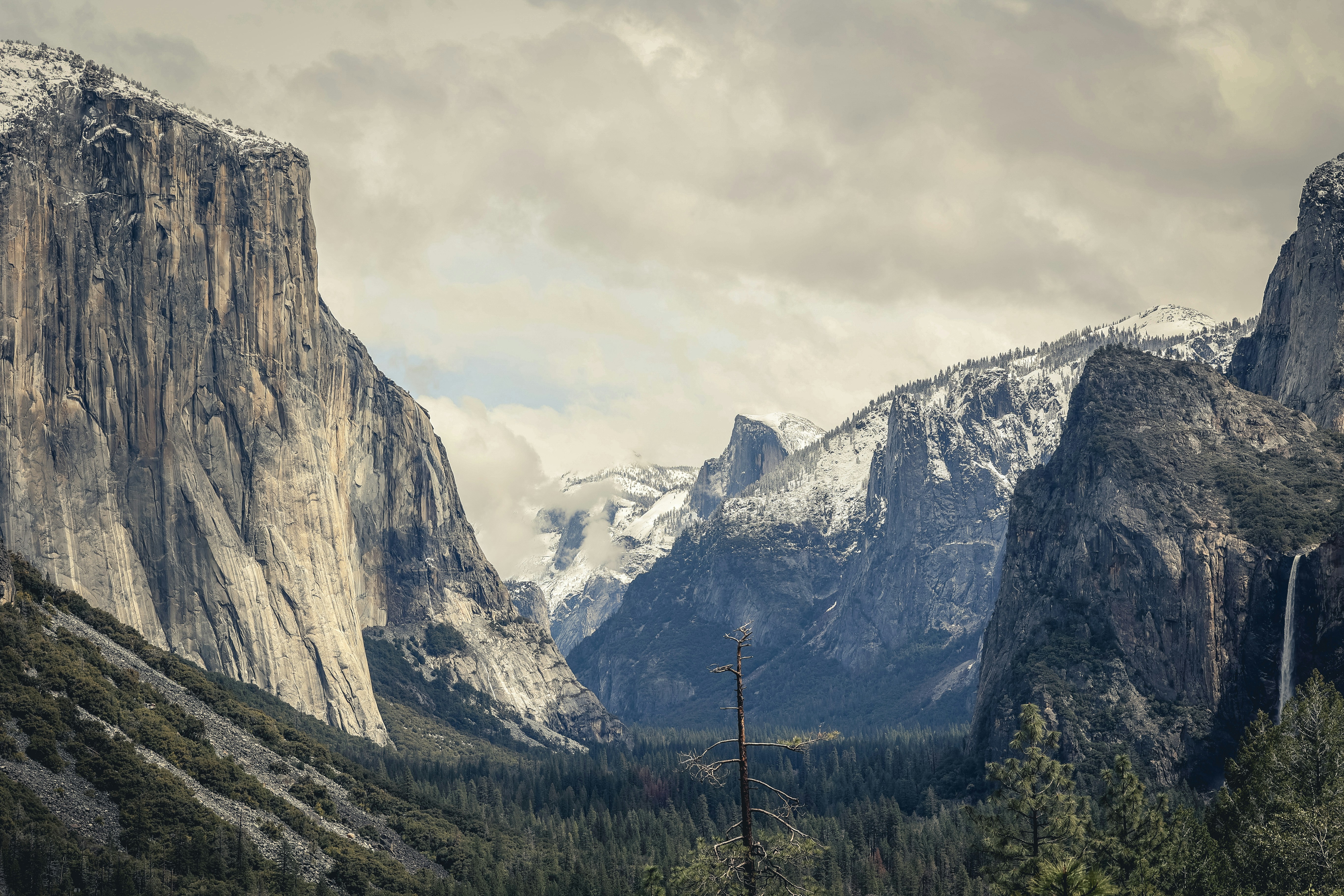 Blick auf eine Bergkette mit Bäumen und Bergen im Hintergrund