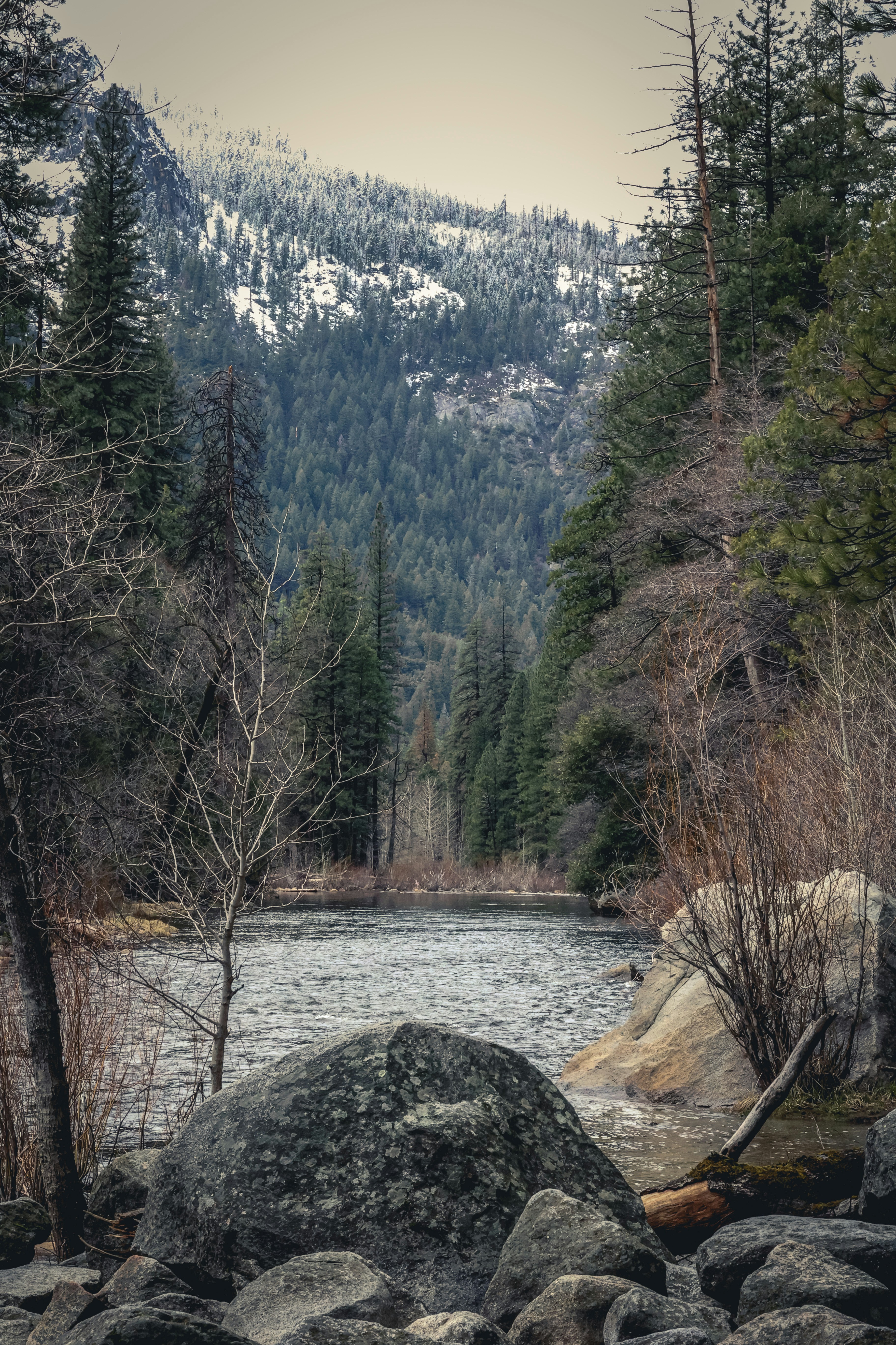 a river surrounded by rocks and trees with a mountain in the background