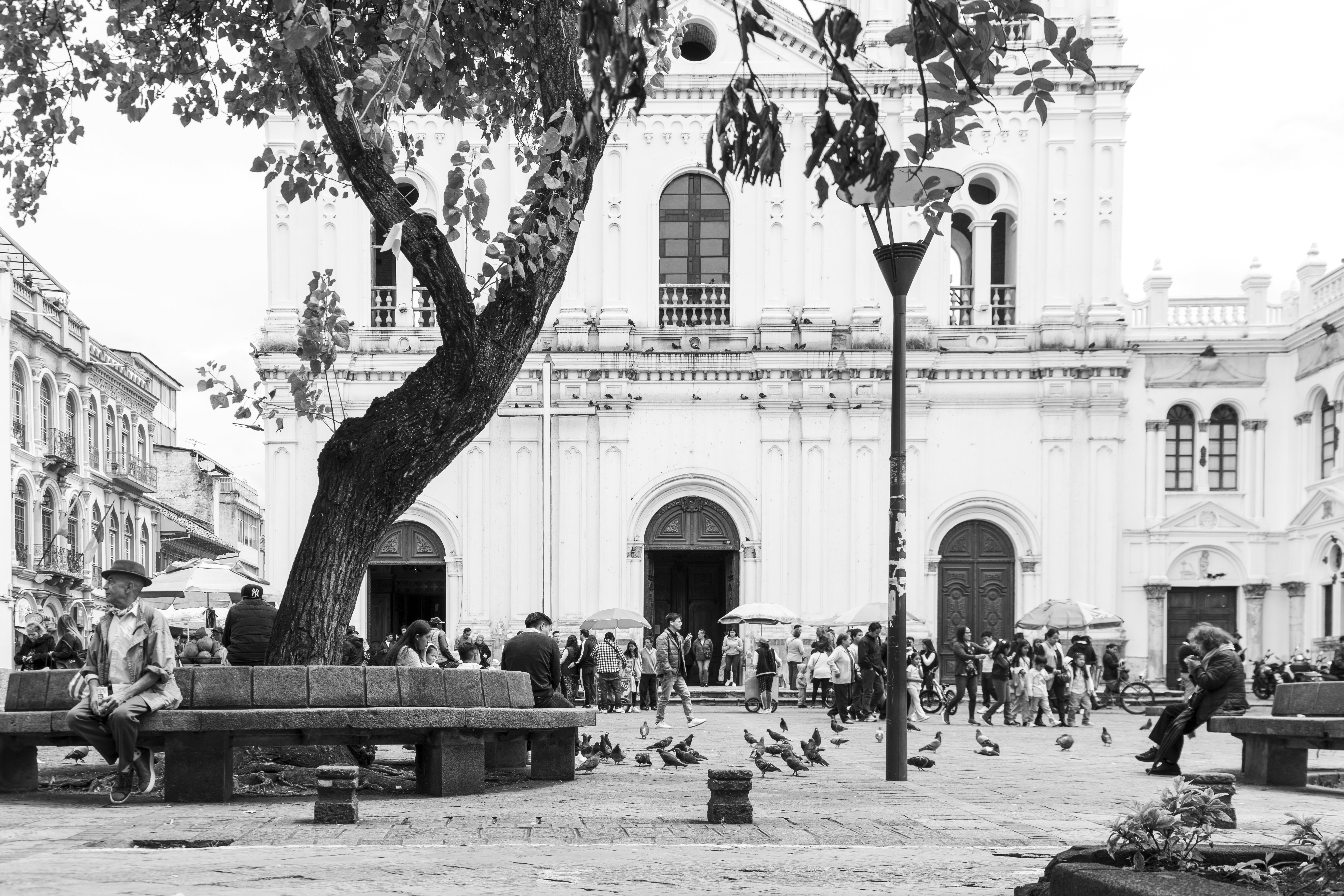 Photo by rafaidrovofoto