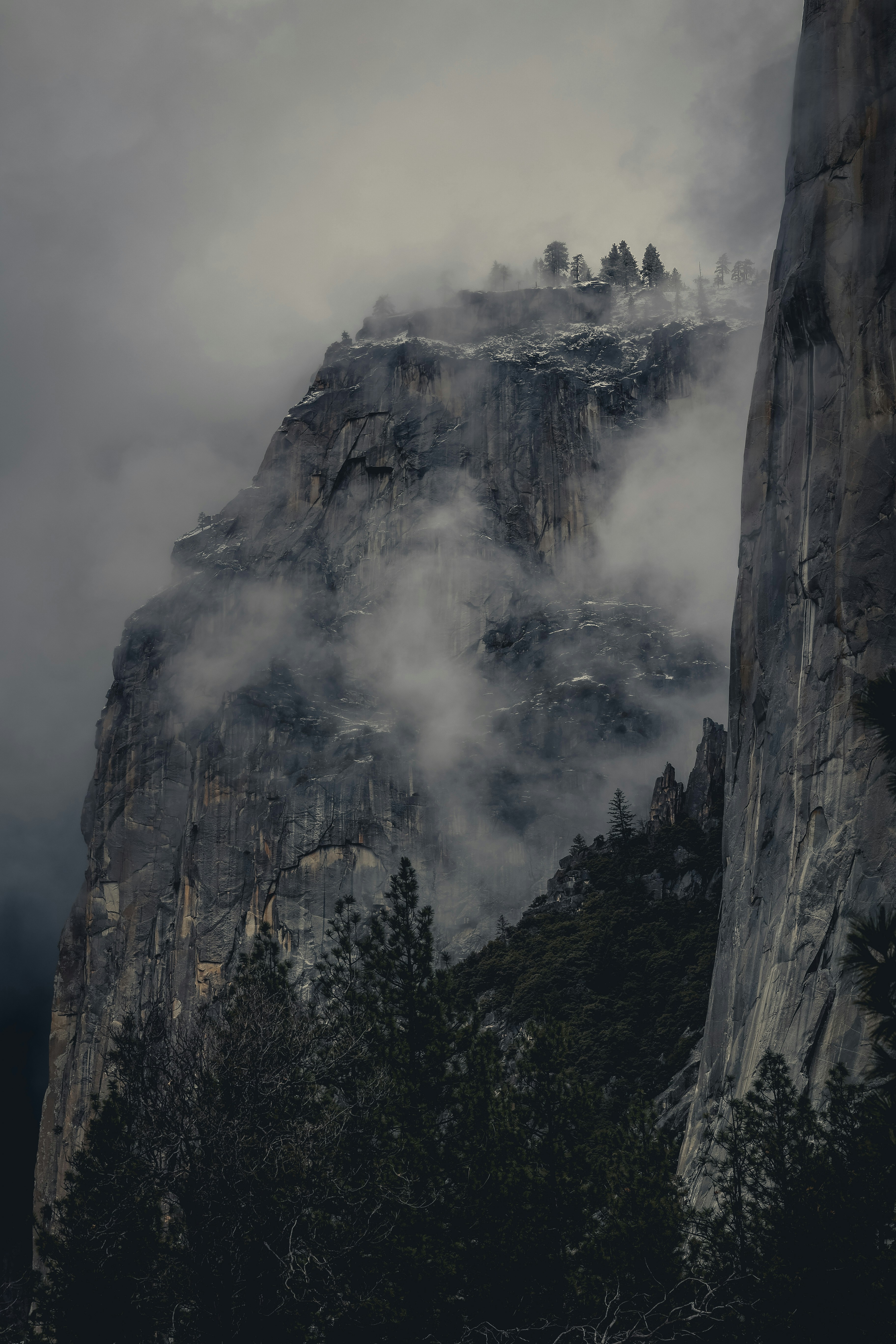 a mountain covered in fog with trees below