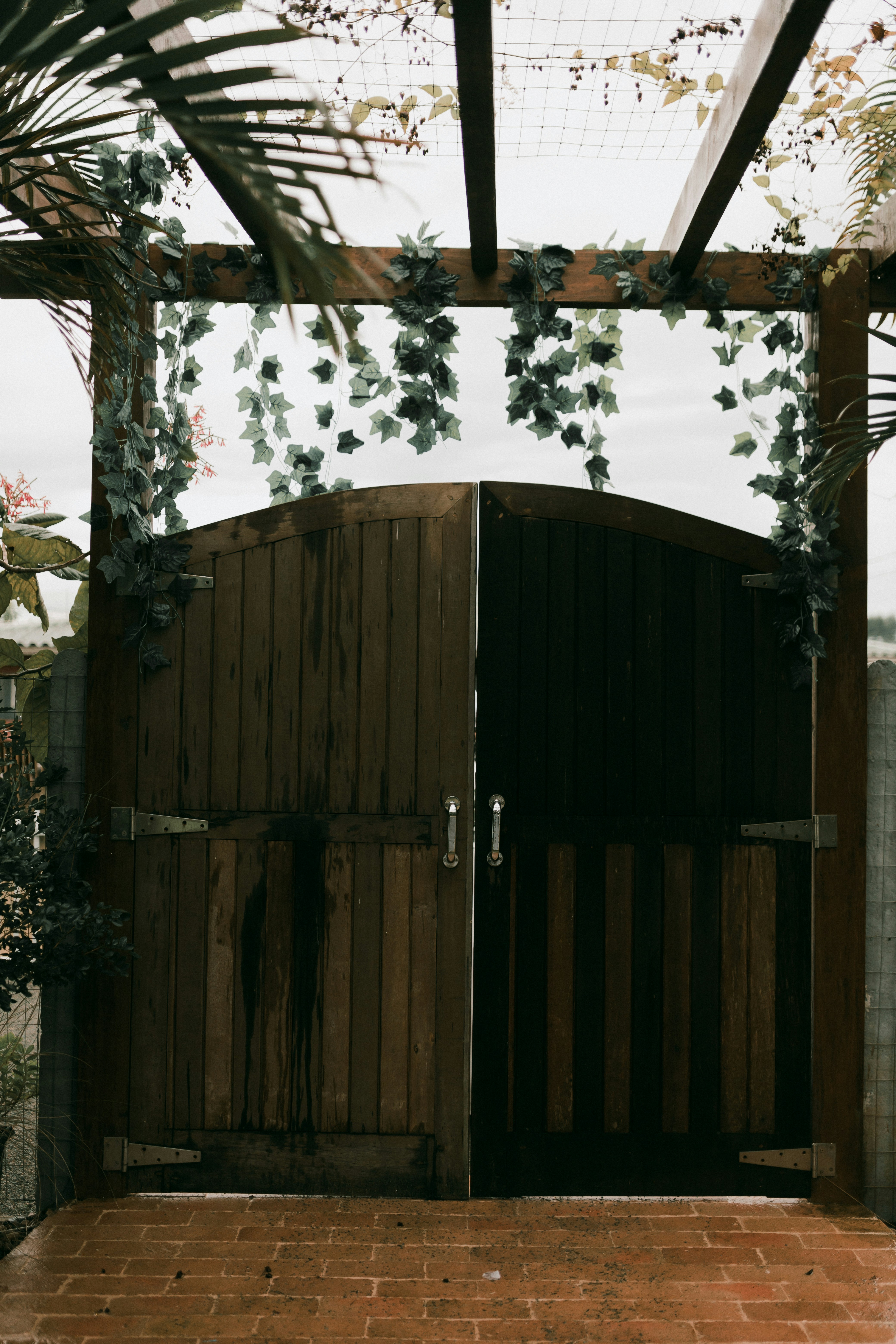 Photo by alexandermassph