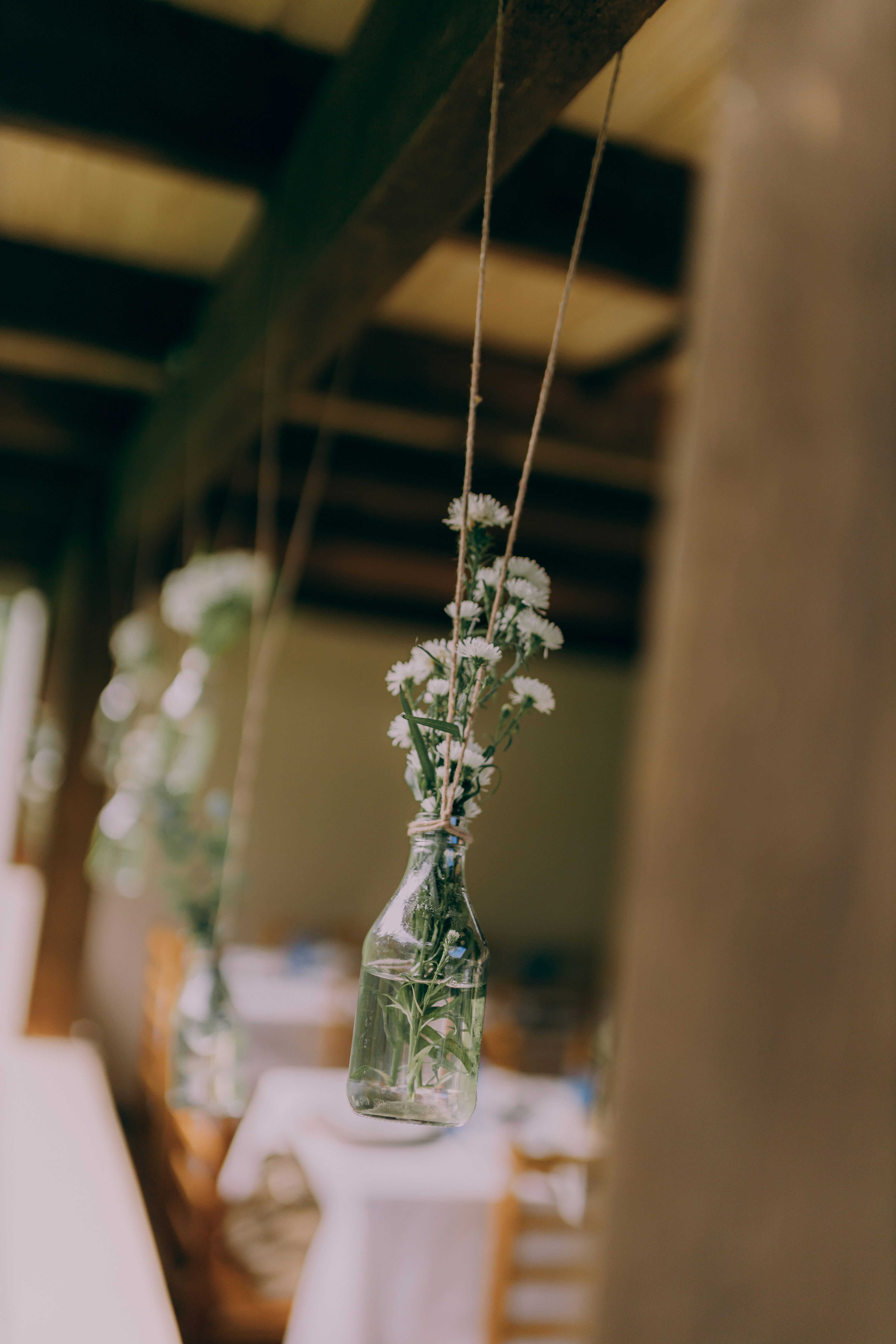 Photo by alexandermassph