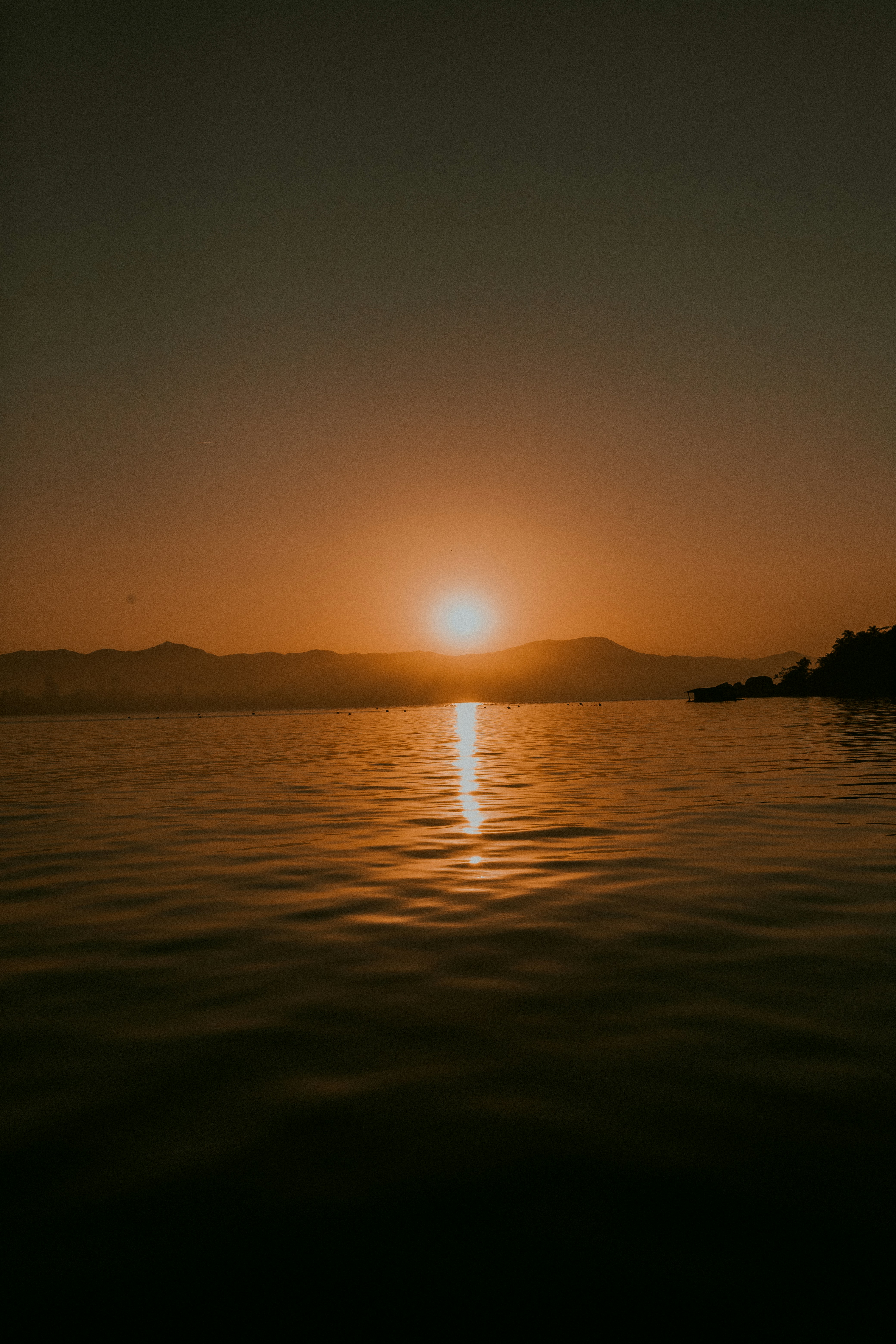 Photo by alexandermassph