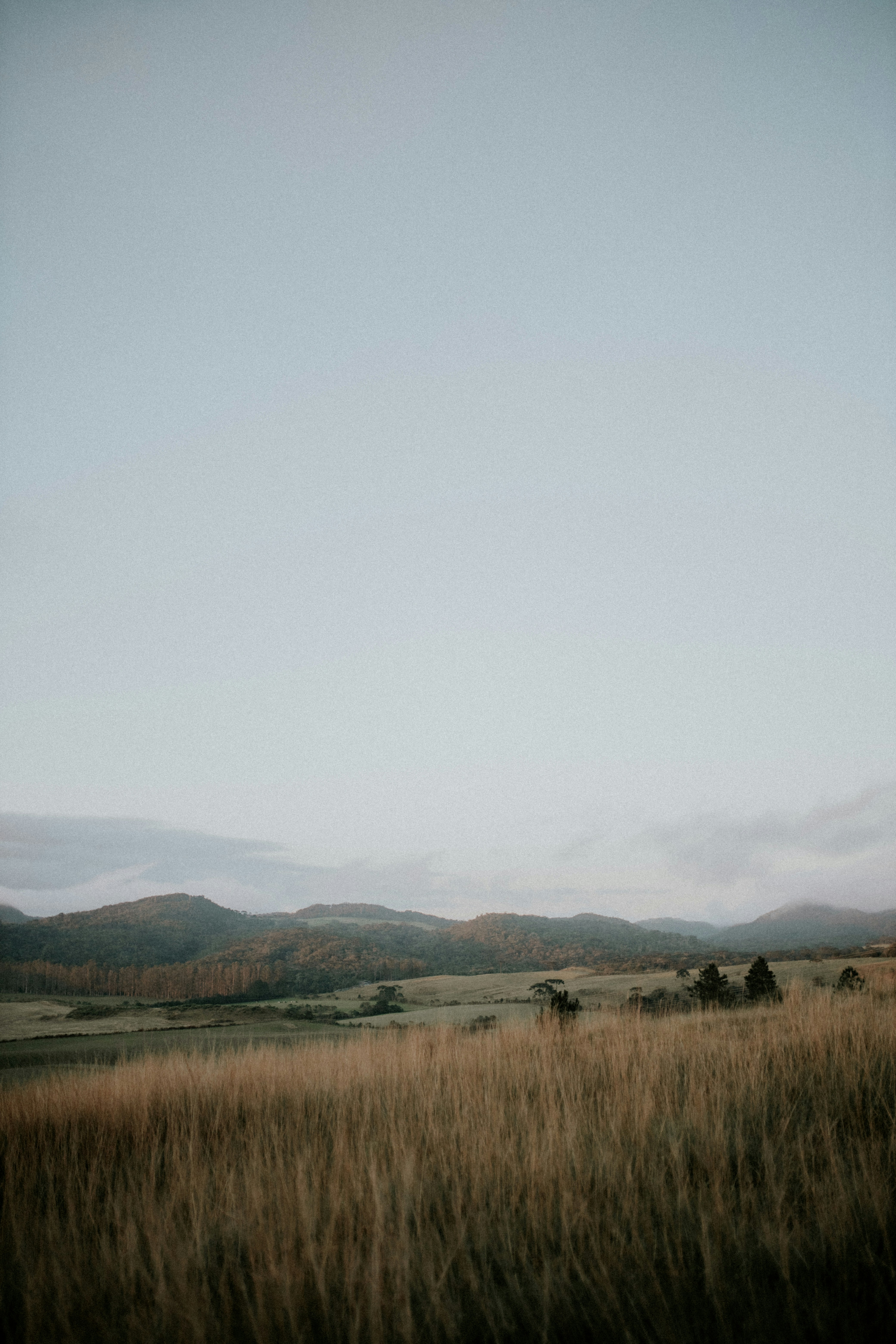 Photo by alexandermassph