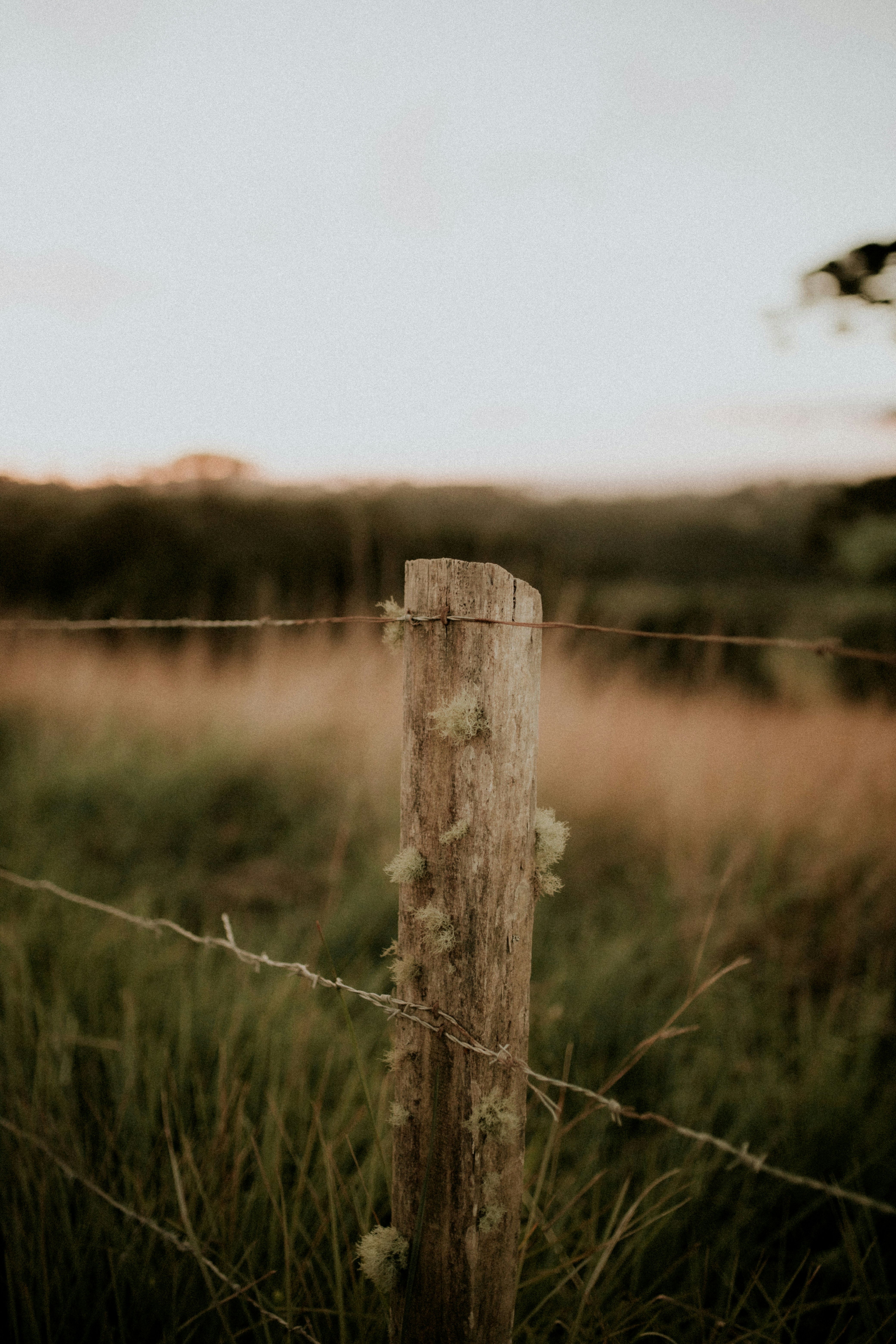 Photo by alexandermassph